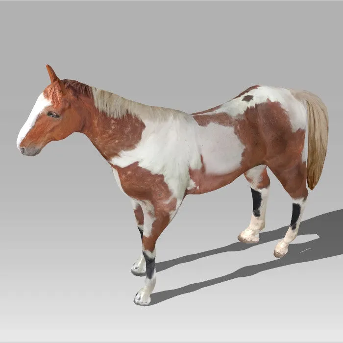 Brown Horse