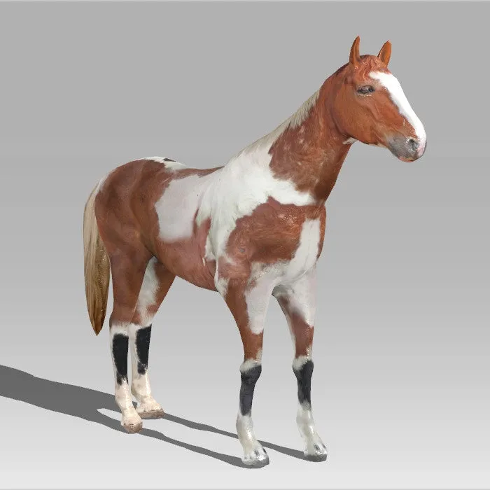 Brown Horse