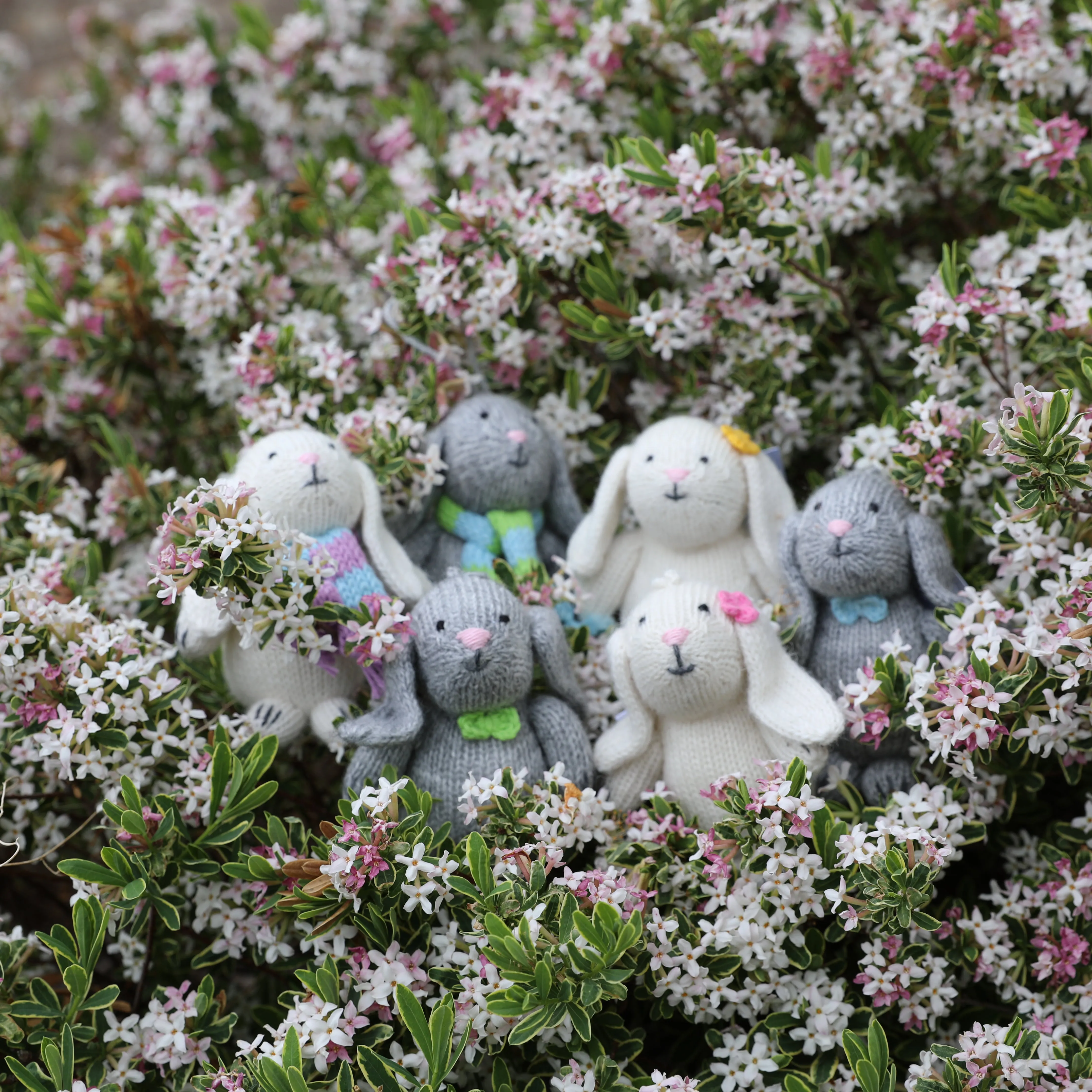Bunny With Pastel Accessory Ornament- Set Of 6