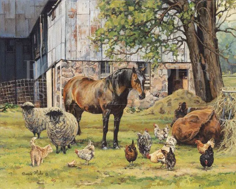 Card - The Barnyard