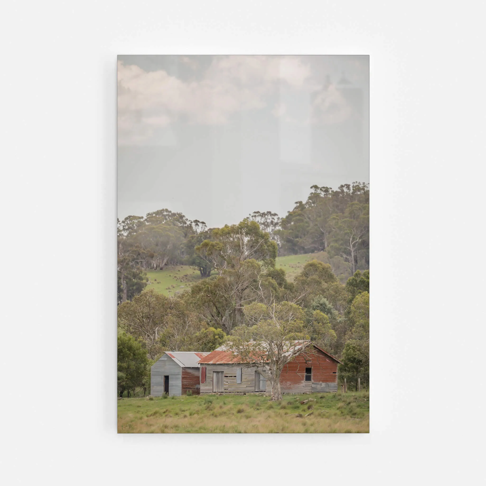 Cathcart Woolshed | The Woolshed
