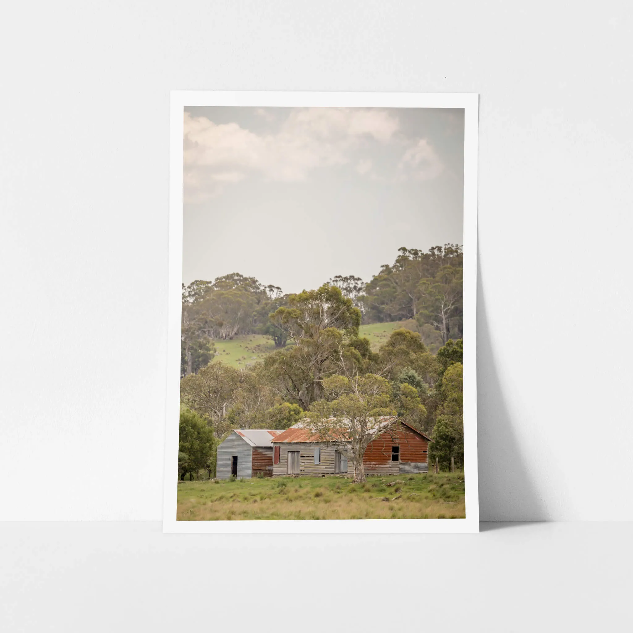 Cathcart Woolshed | The Woolshed
