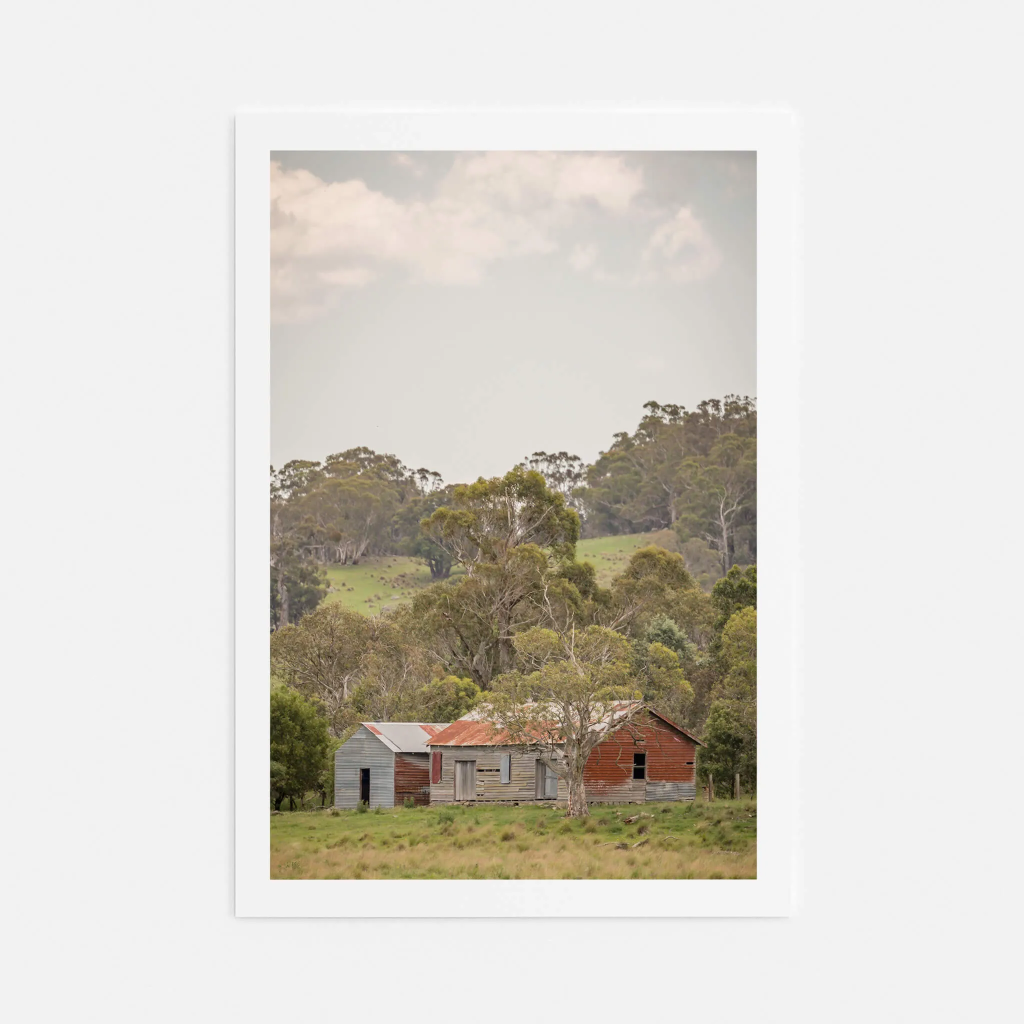 Cathcart Woolshed | The Woolshed