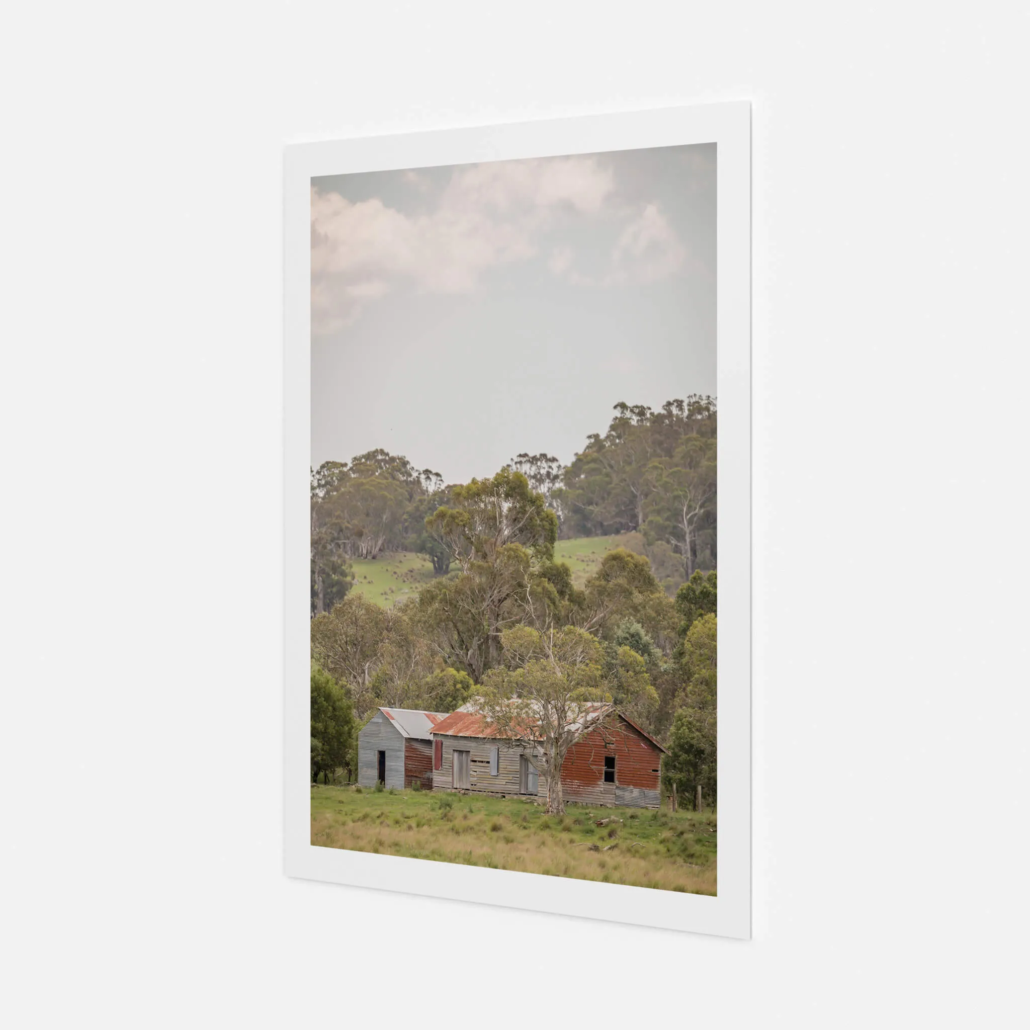 Cathcart Woolshed | The Woolshed