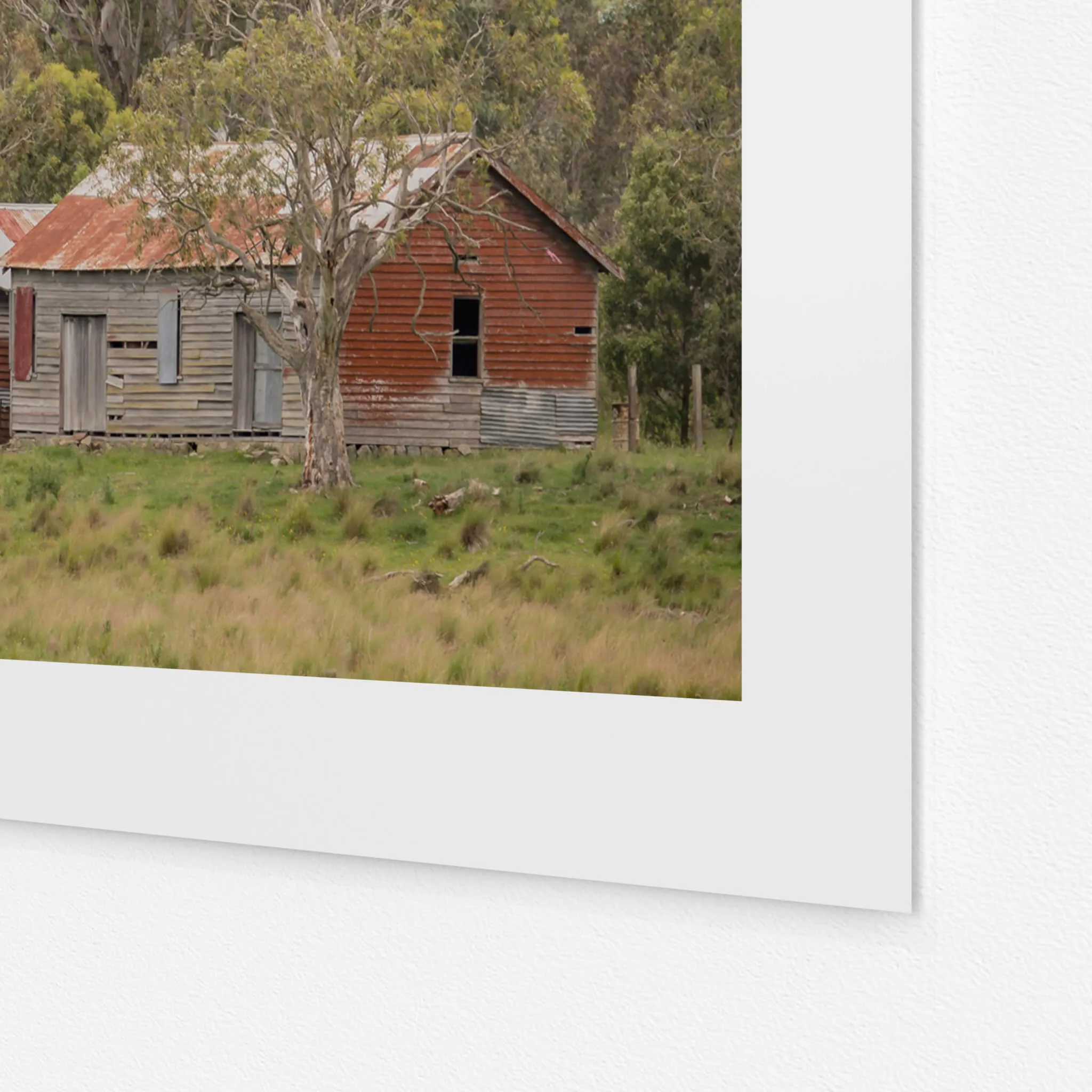 Cathcart Woolshed | The Woolshed