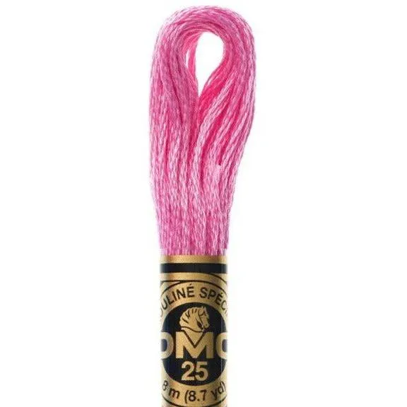 DMC Embroidery Floss, 6-Strand - Cranberry #603