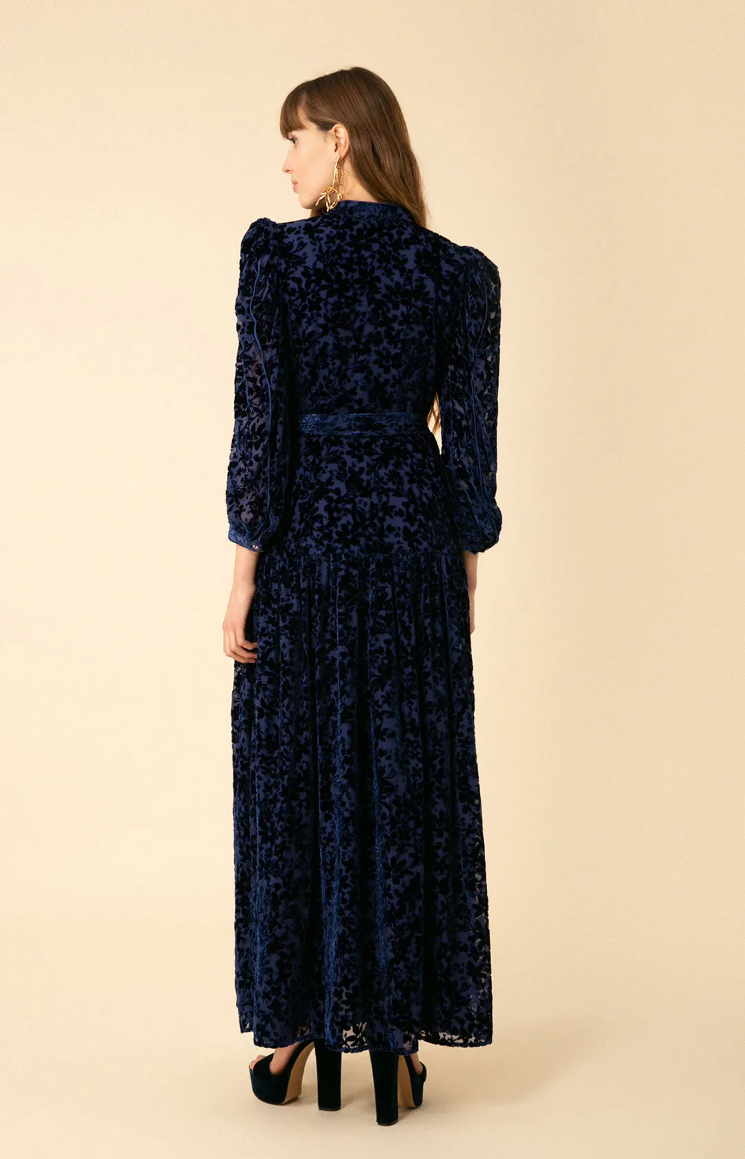 Heloise Solid Velvet Burnout Maxi Dress