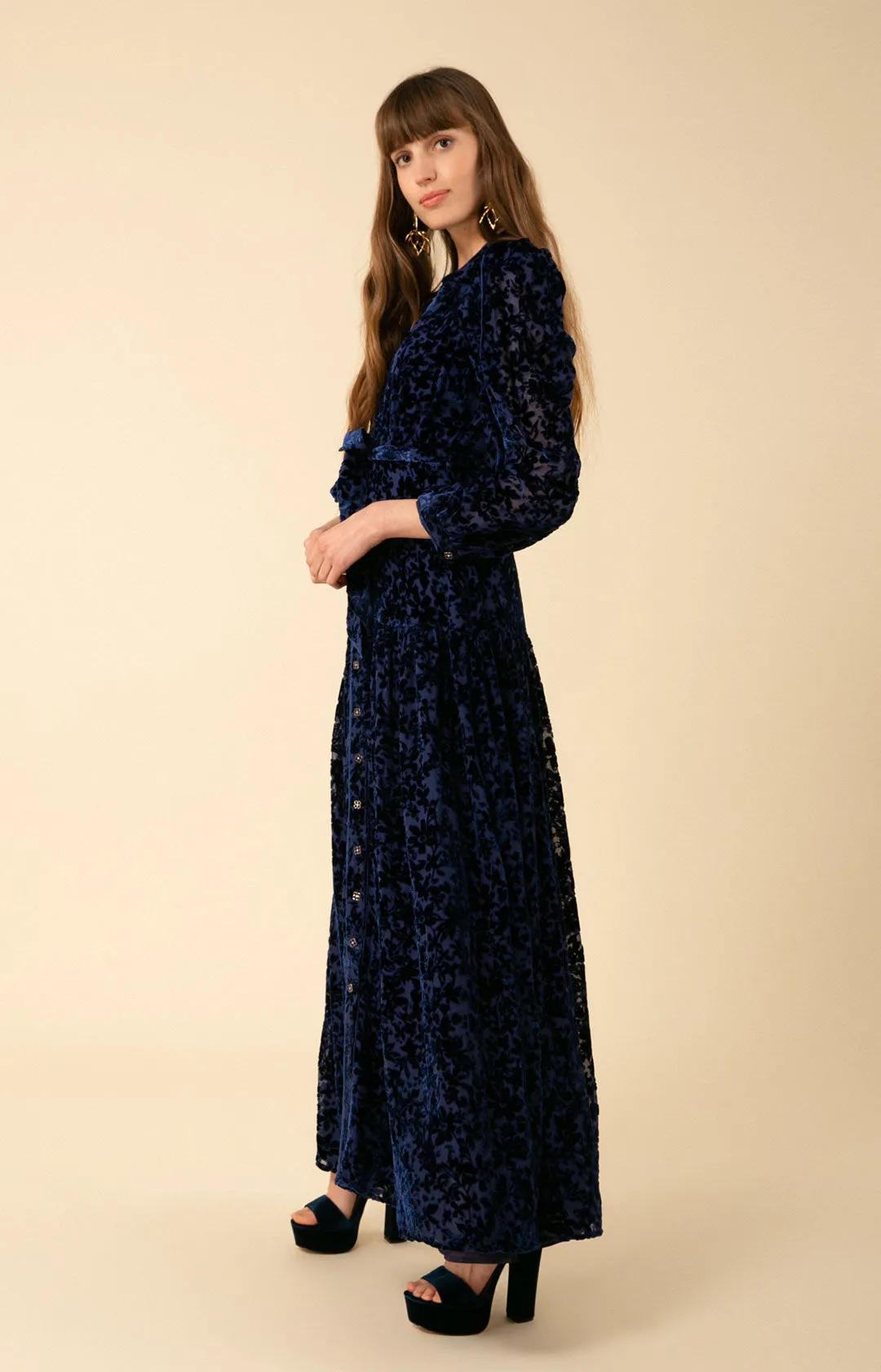 Heloise Solid Velvet Burnout Maxi Dress