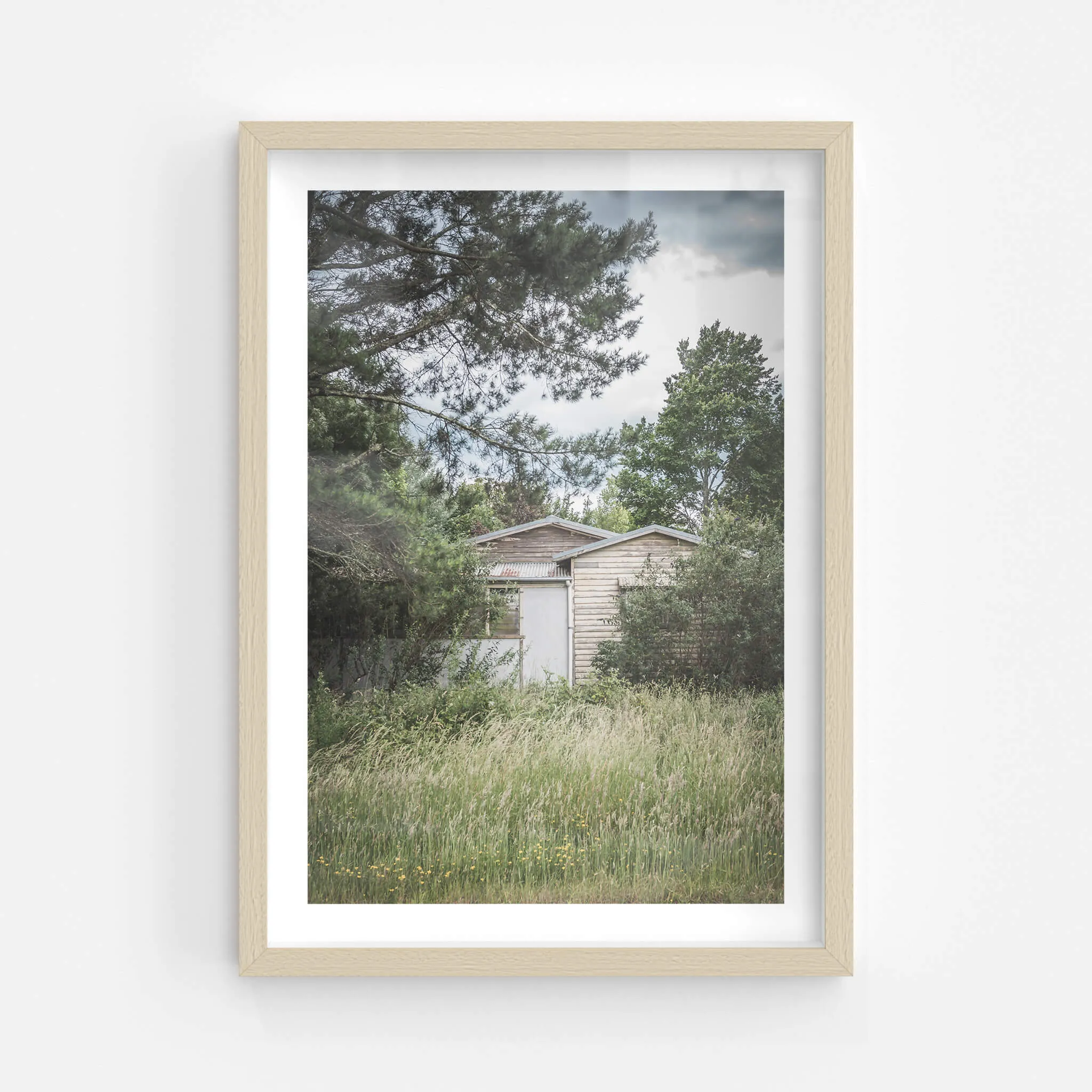 Overgrowth | A Place to Call Home