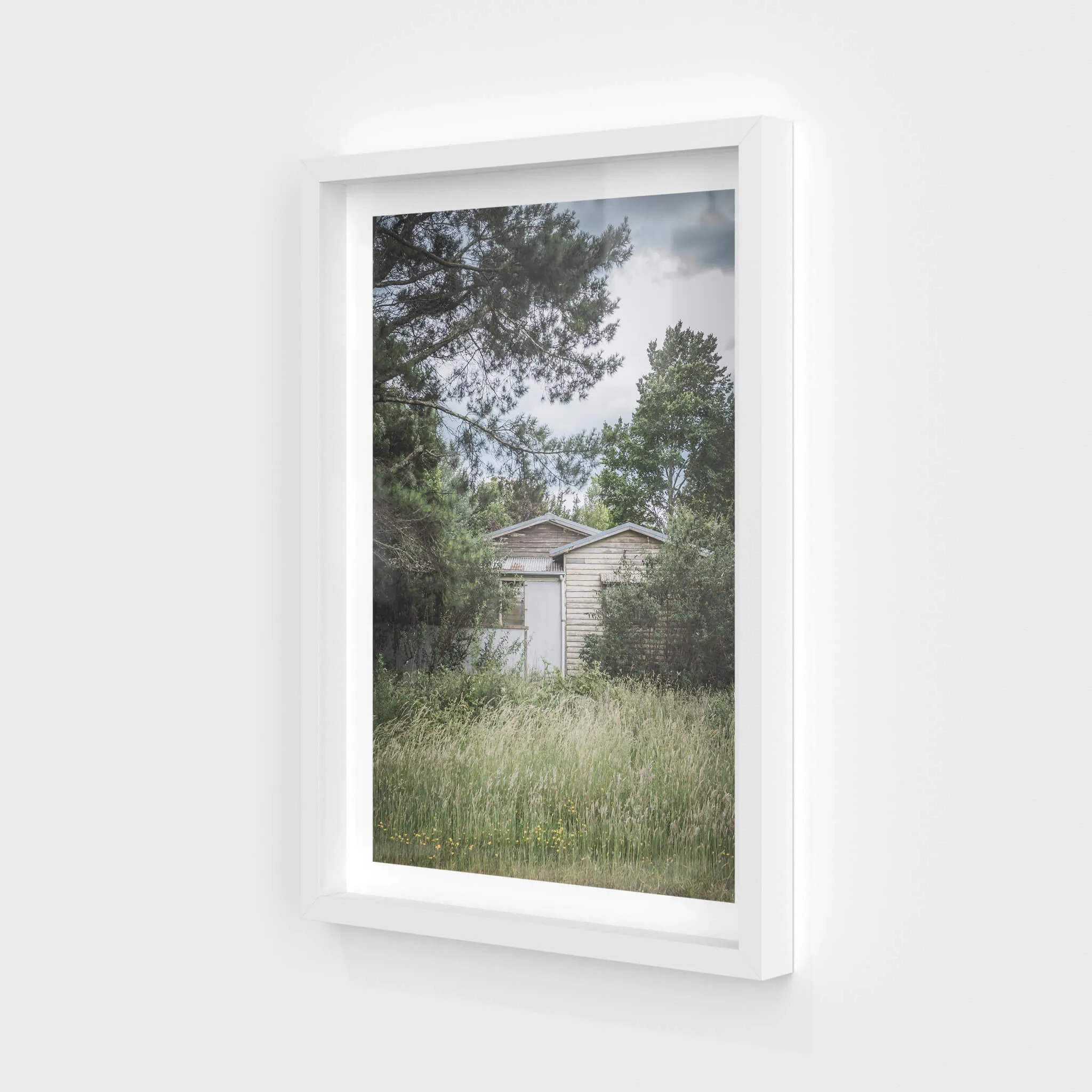 Overgrowth | A Place to Call Home