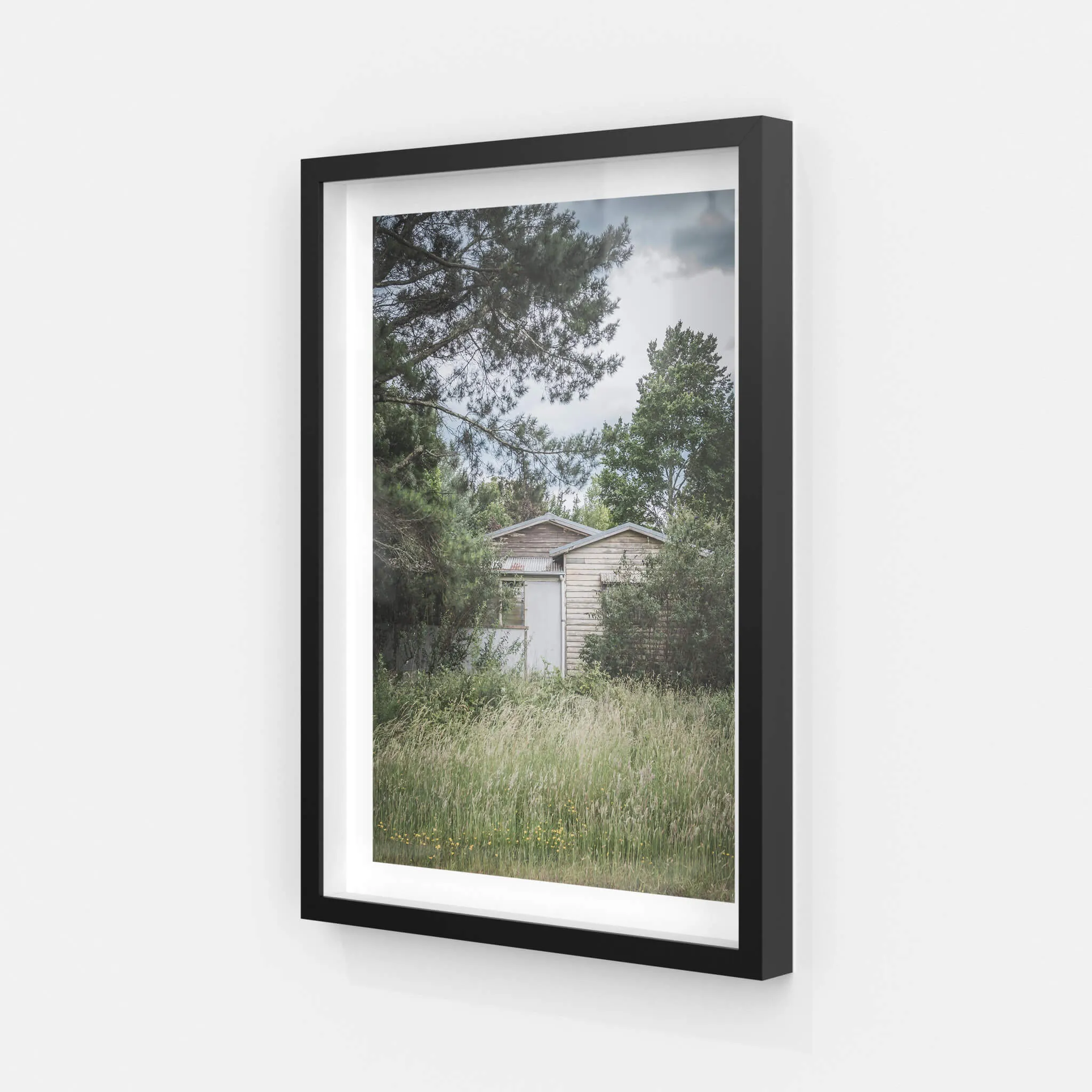 Overgrowth | A Place to Call Home