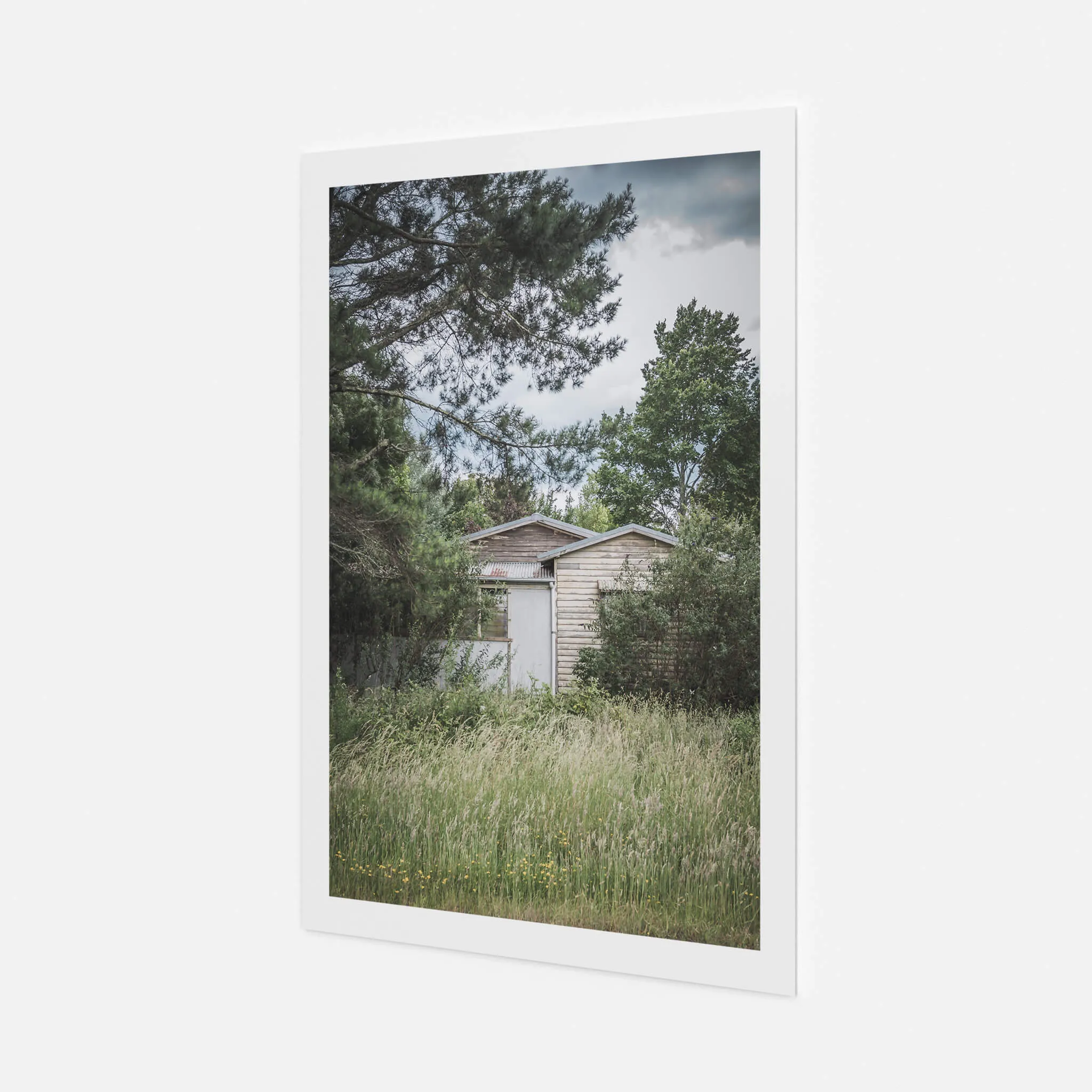 Overgrowth | A Place to Call Home