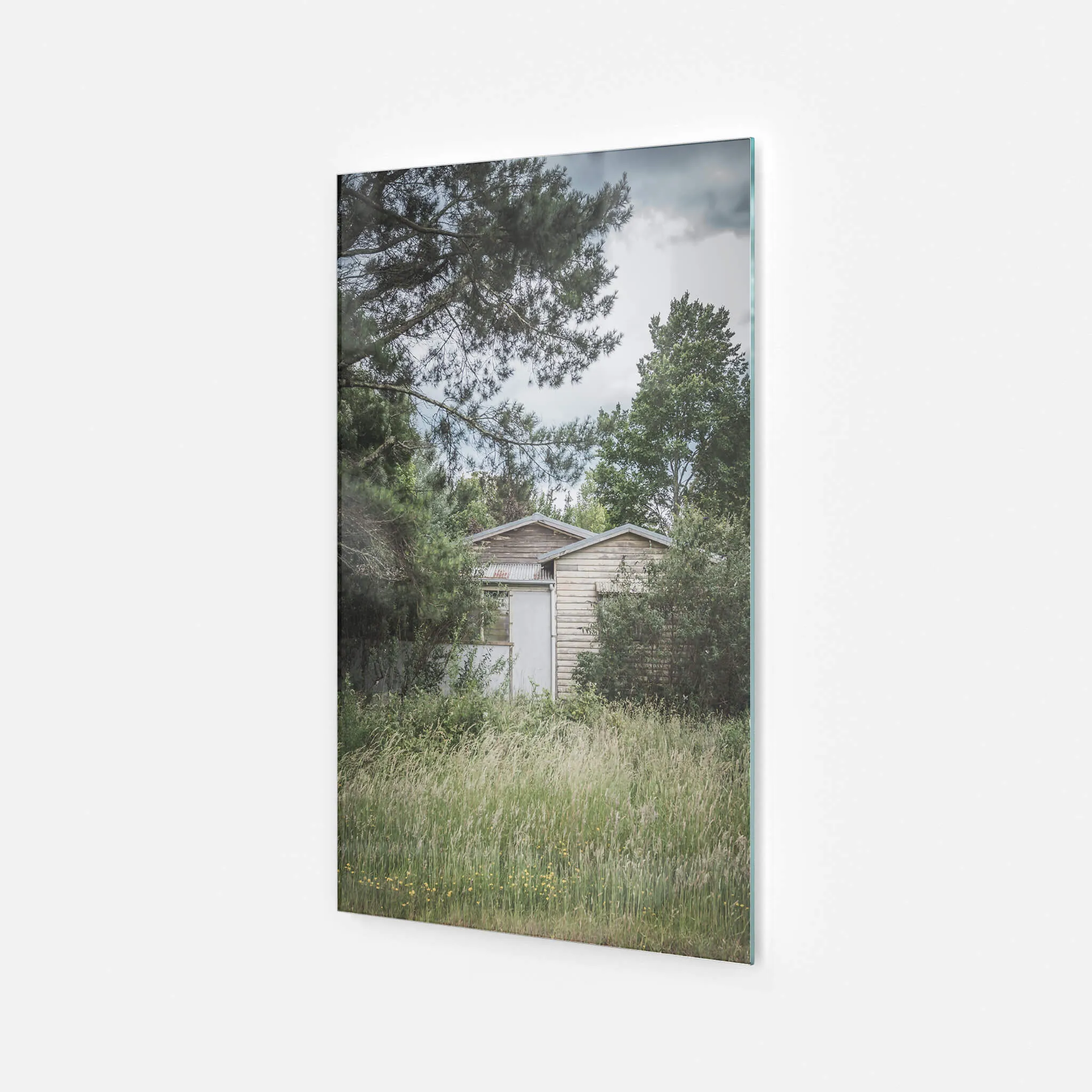 Overgrowth | A Place to Call Home