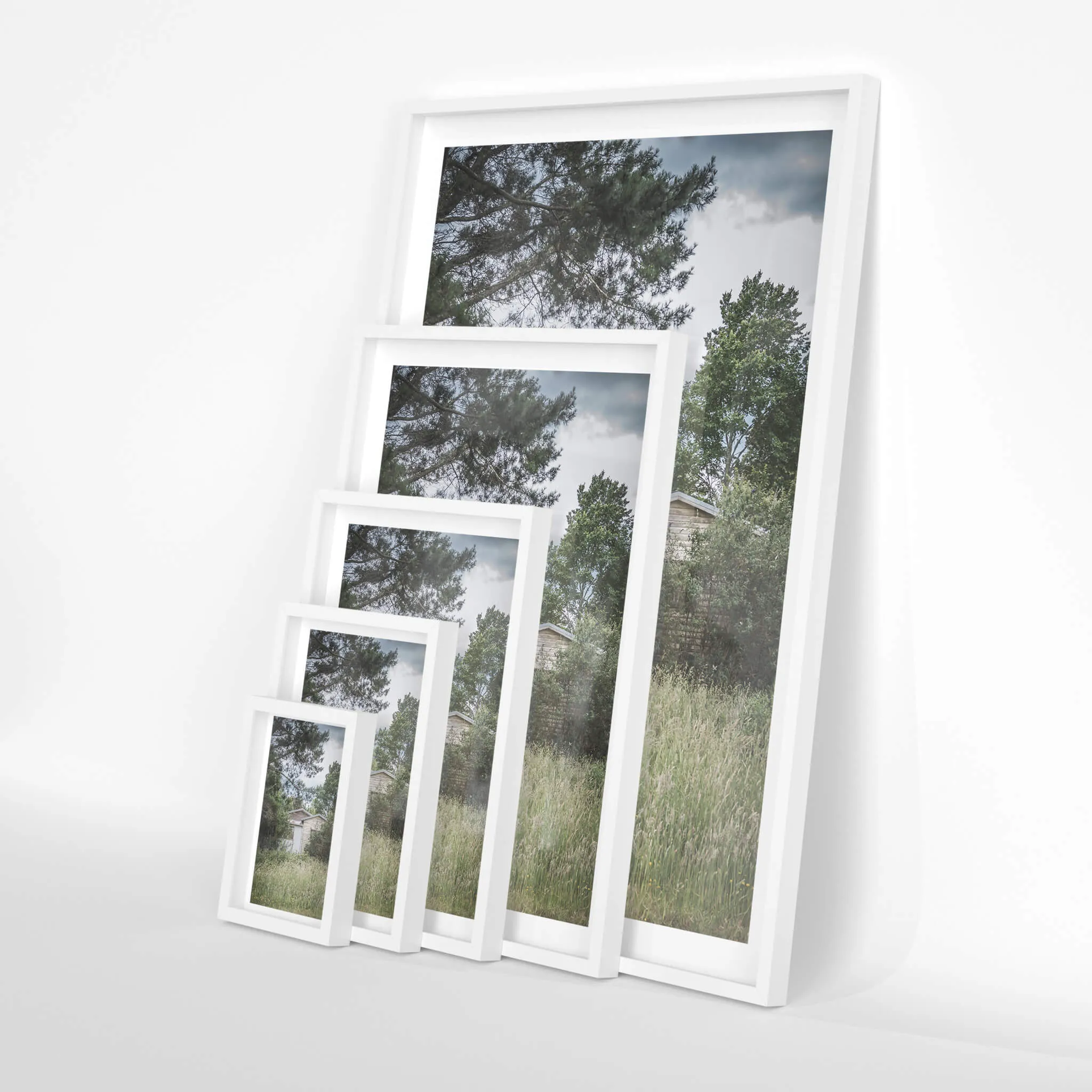Overgrowth | A Place to Call Home