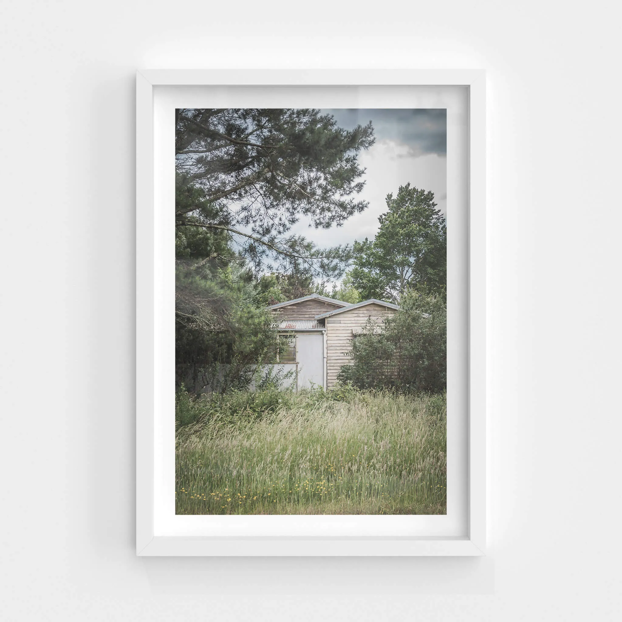 Overgrowth | A Place to Call Home