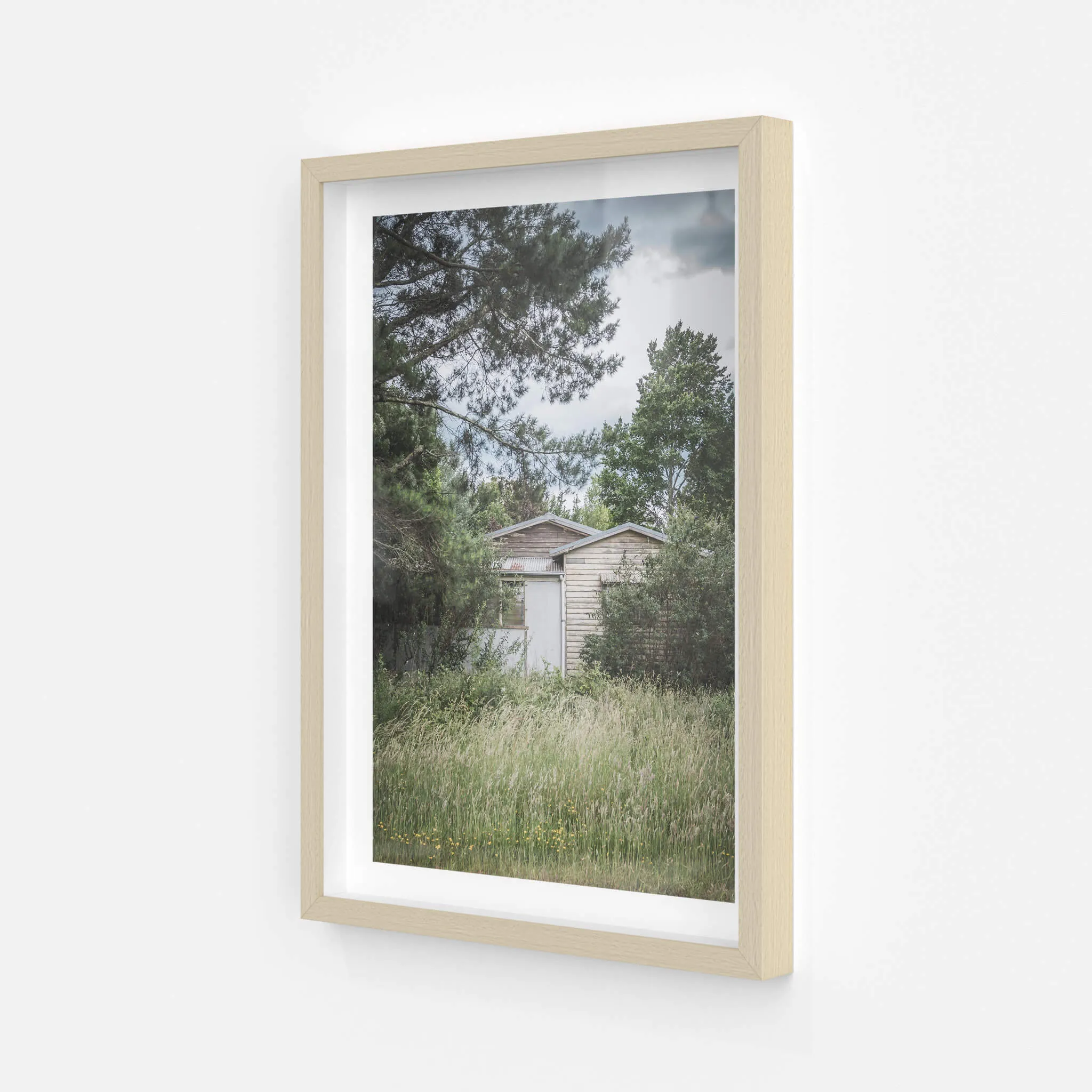 Overgrowth | A Place to Call Home