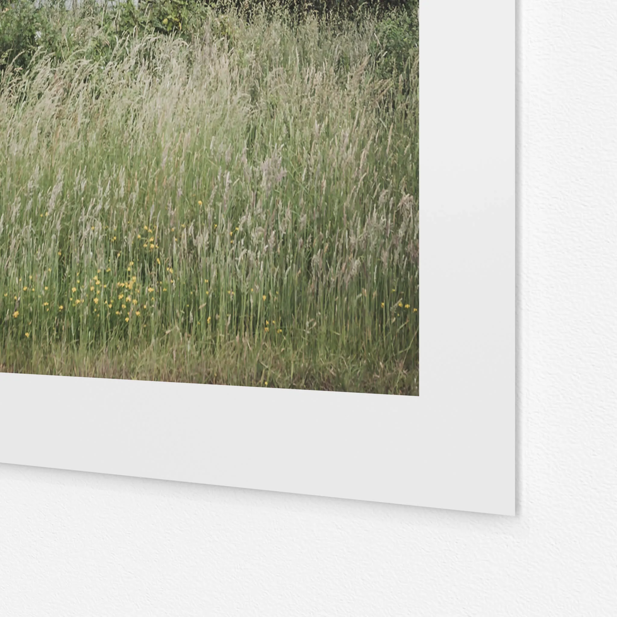 Overgrowth | A Place to Call Home