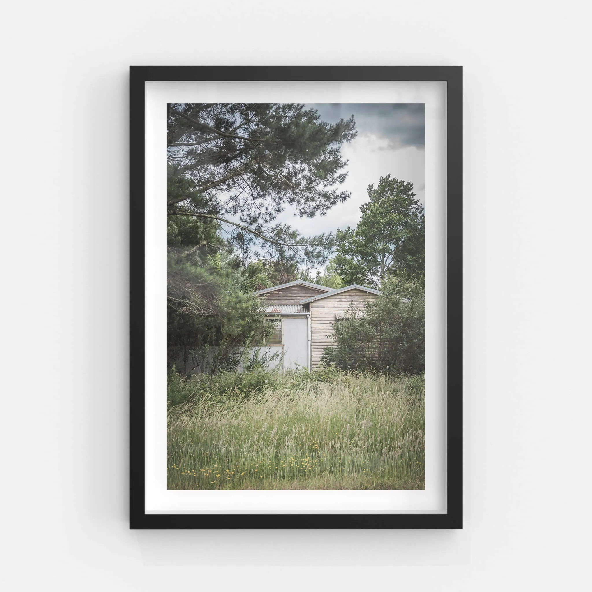 Overgrowth | A Place to Call Home