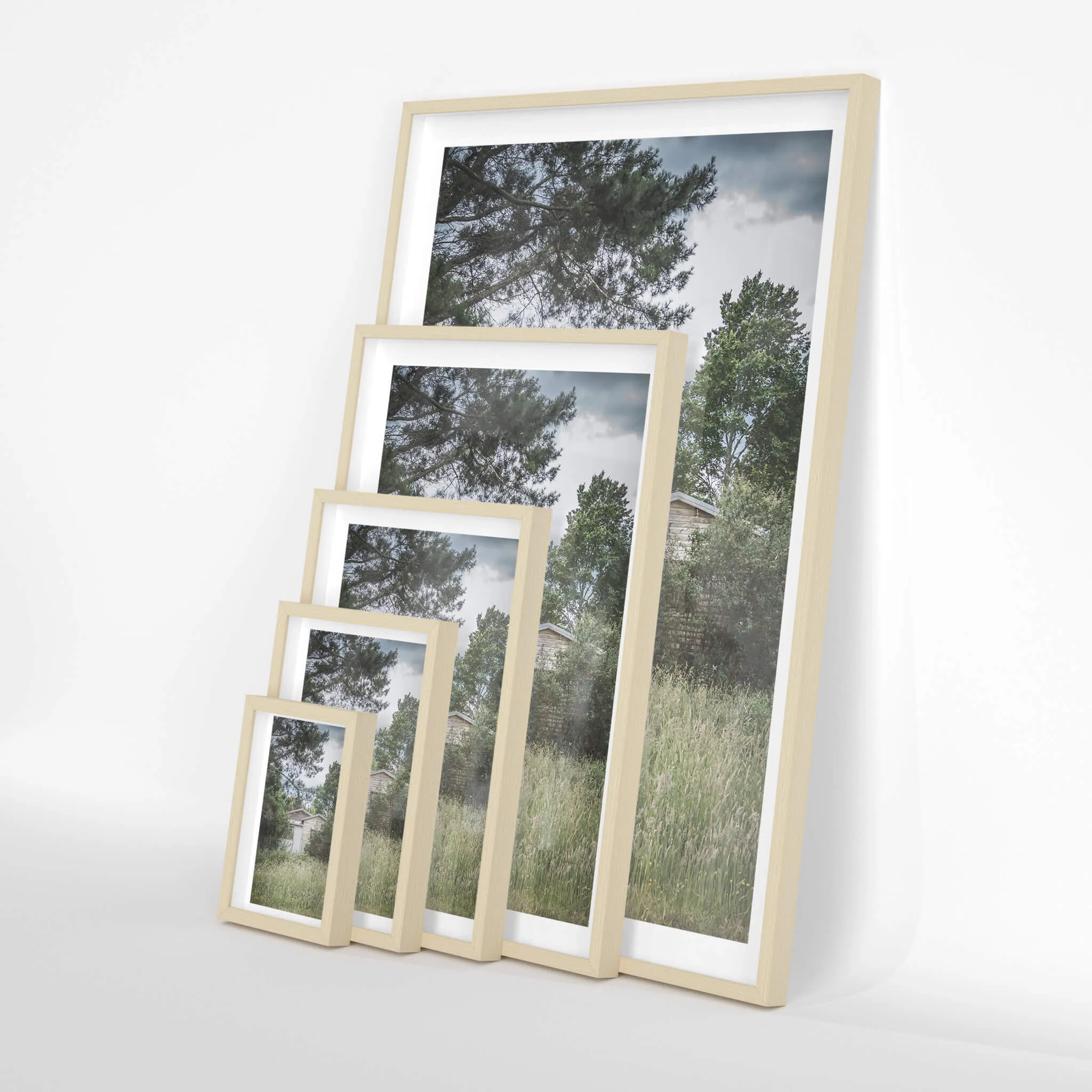 Overgrowth | A Place to Call Home