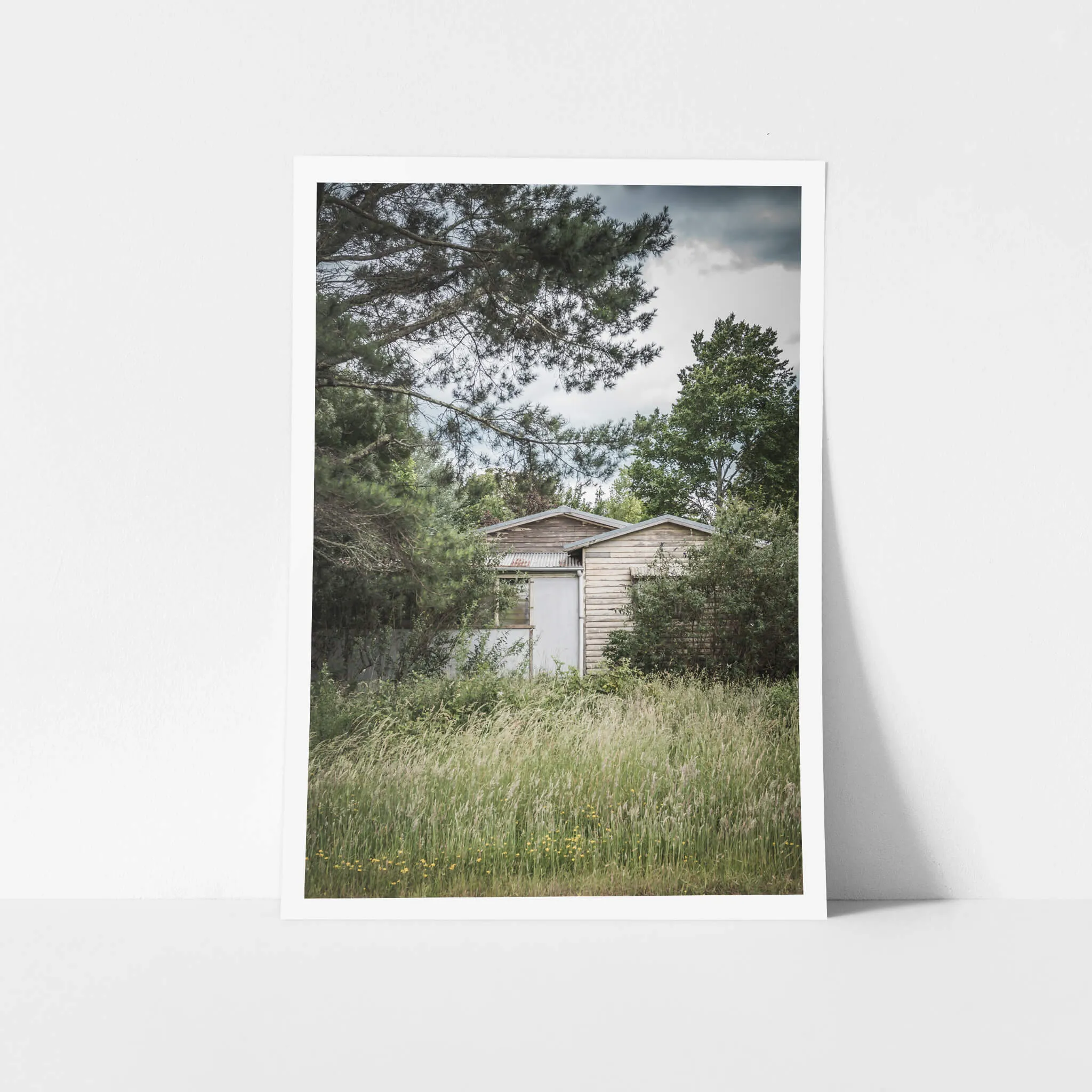 Overgrowth | A Place to Call Home