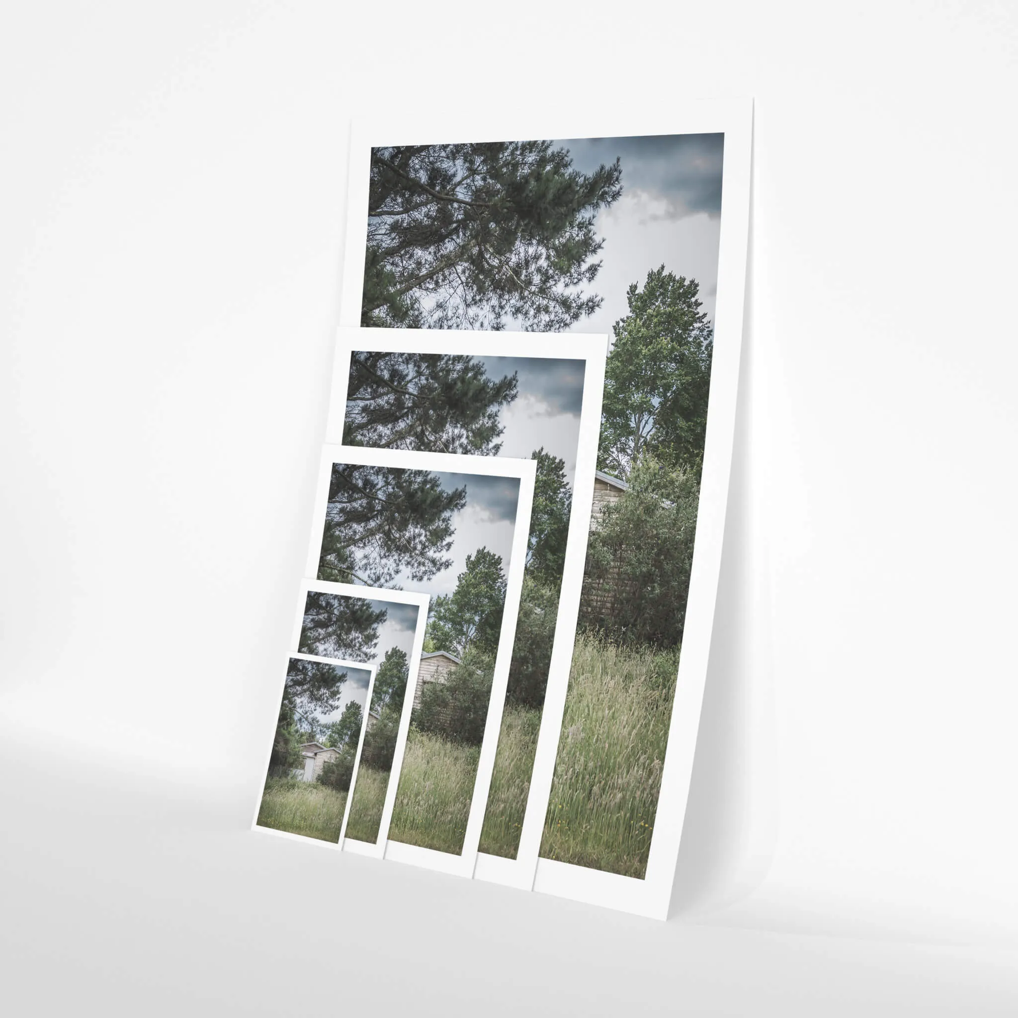 Overgrowth | A Place to Call Home
