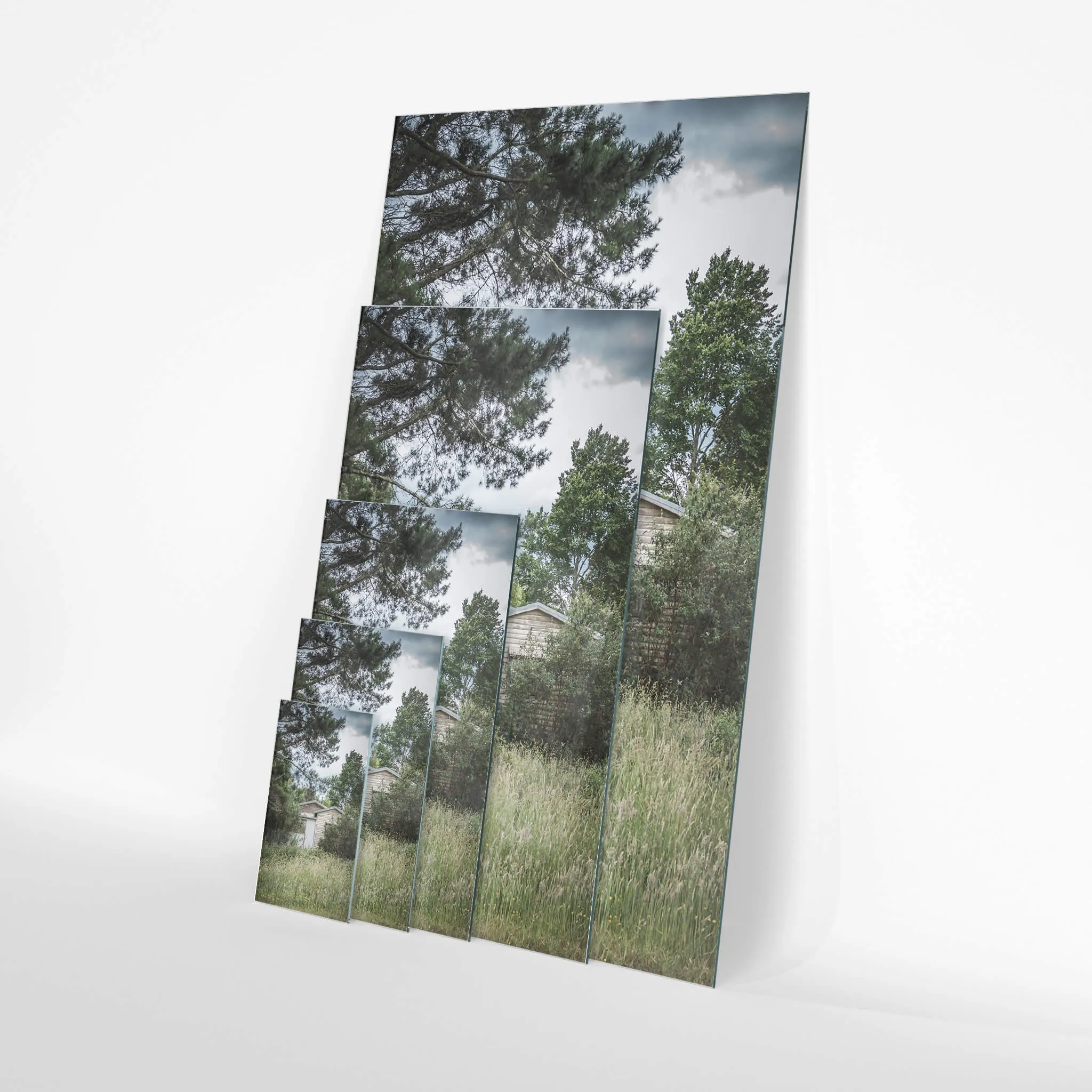 Overgrowth | A Place to Call Home