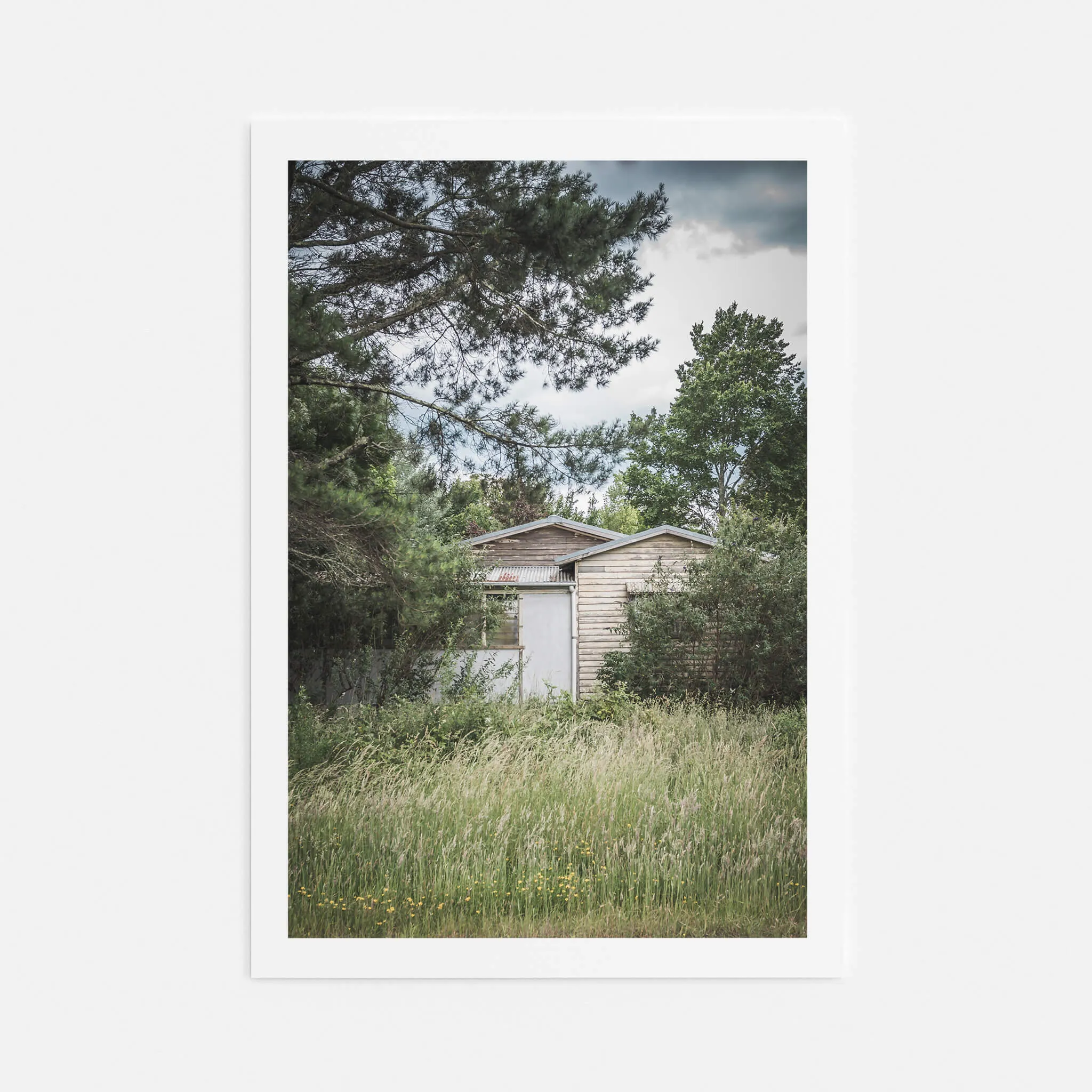 Overgrowth | A Place to Call Home