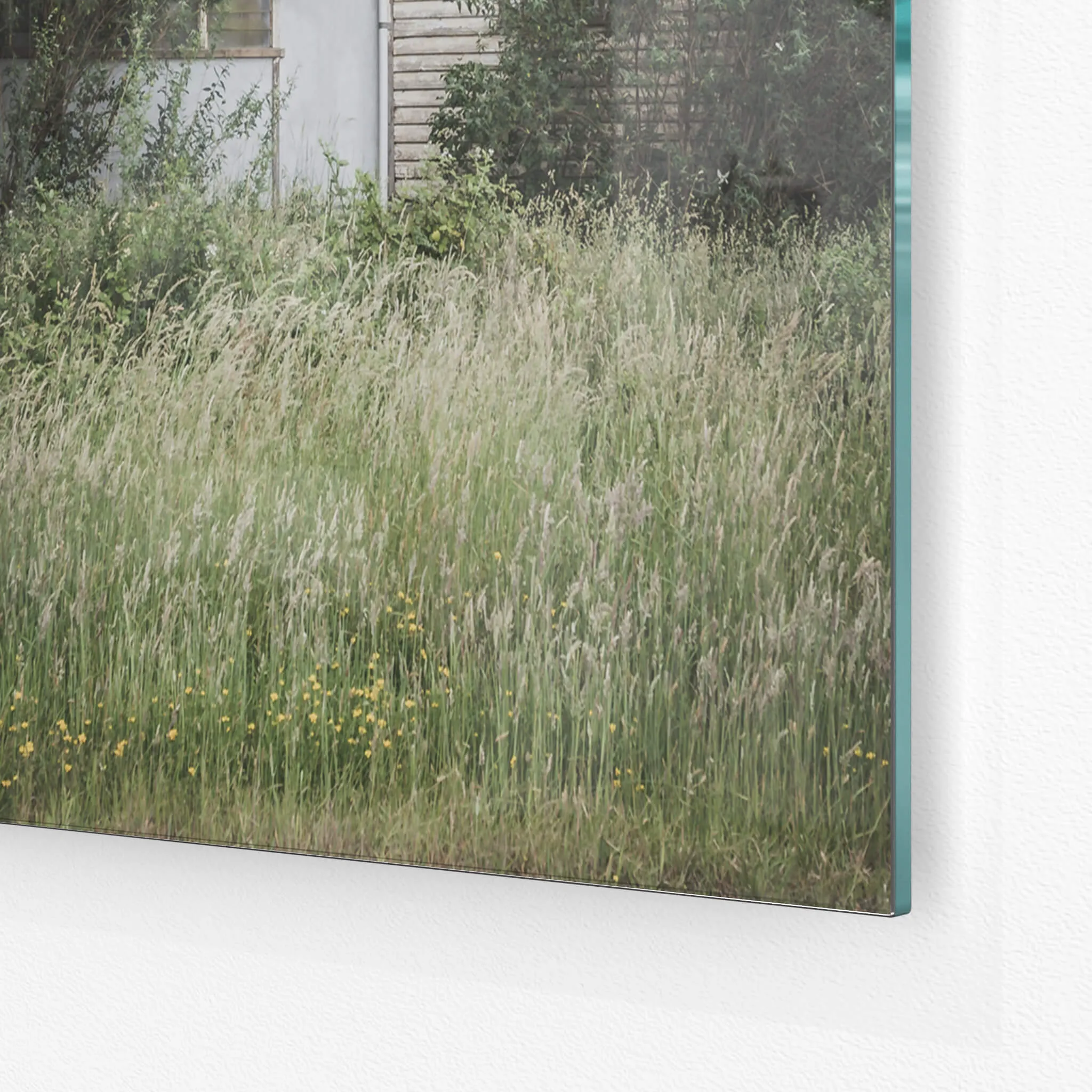 Overgrowth | A Place to Call Home