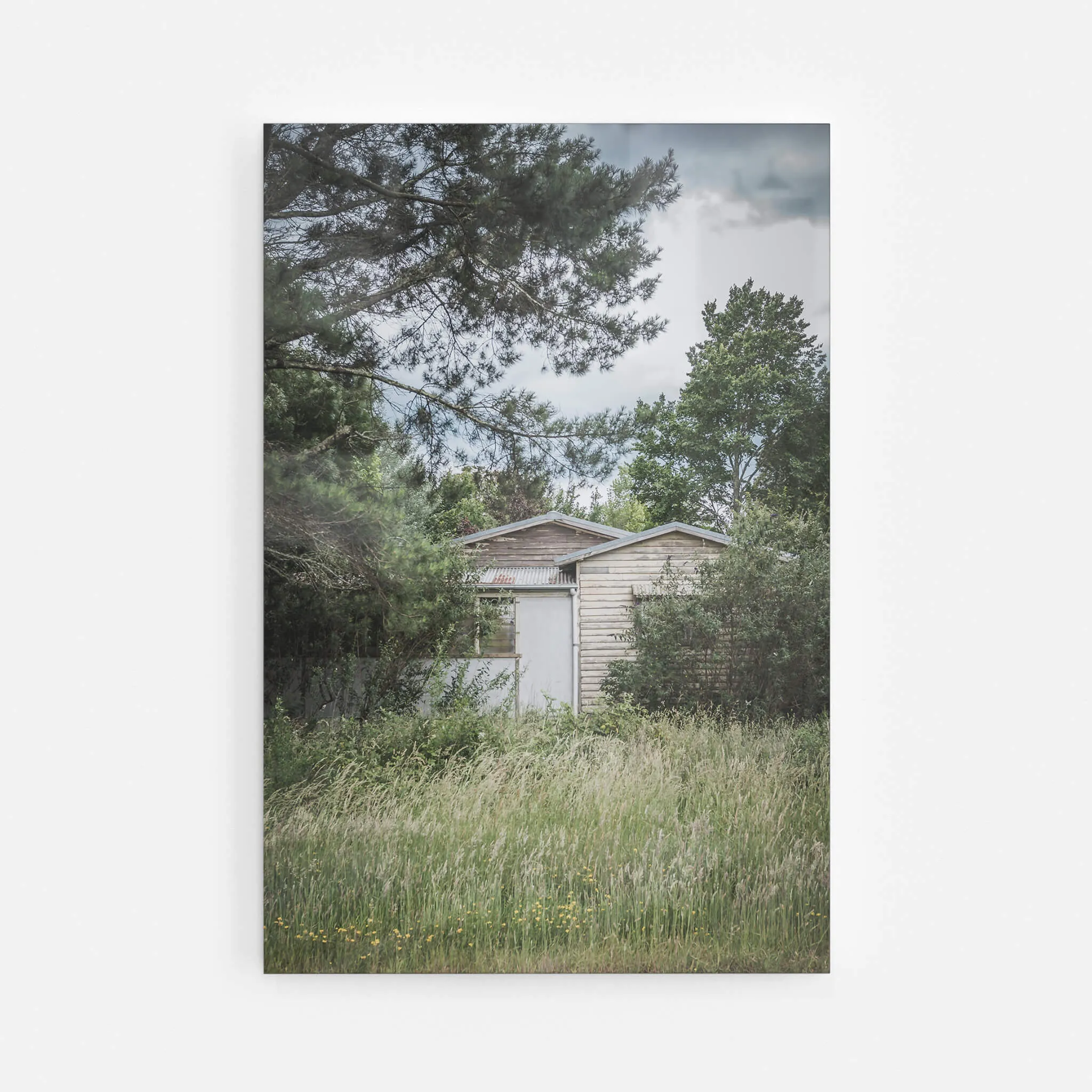 Overgrowth | A Place to Call Home