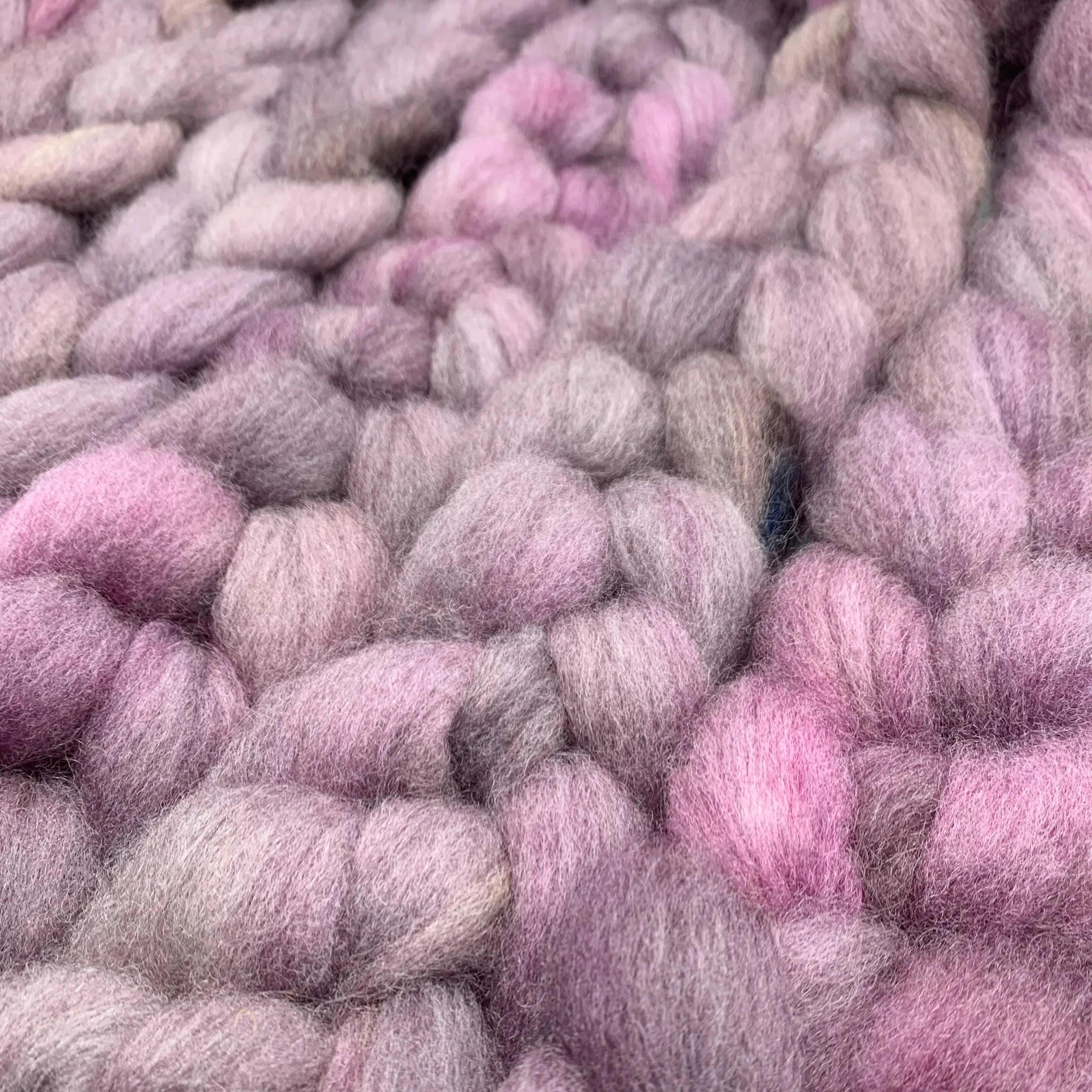 PNWWW Texel Wool Roving 4oz: Eugenia