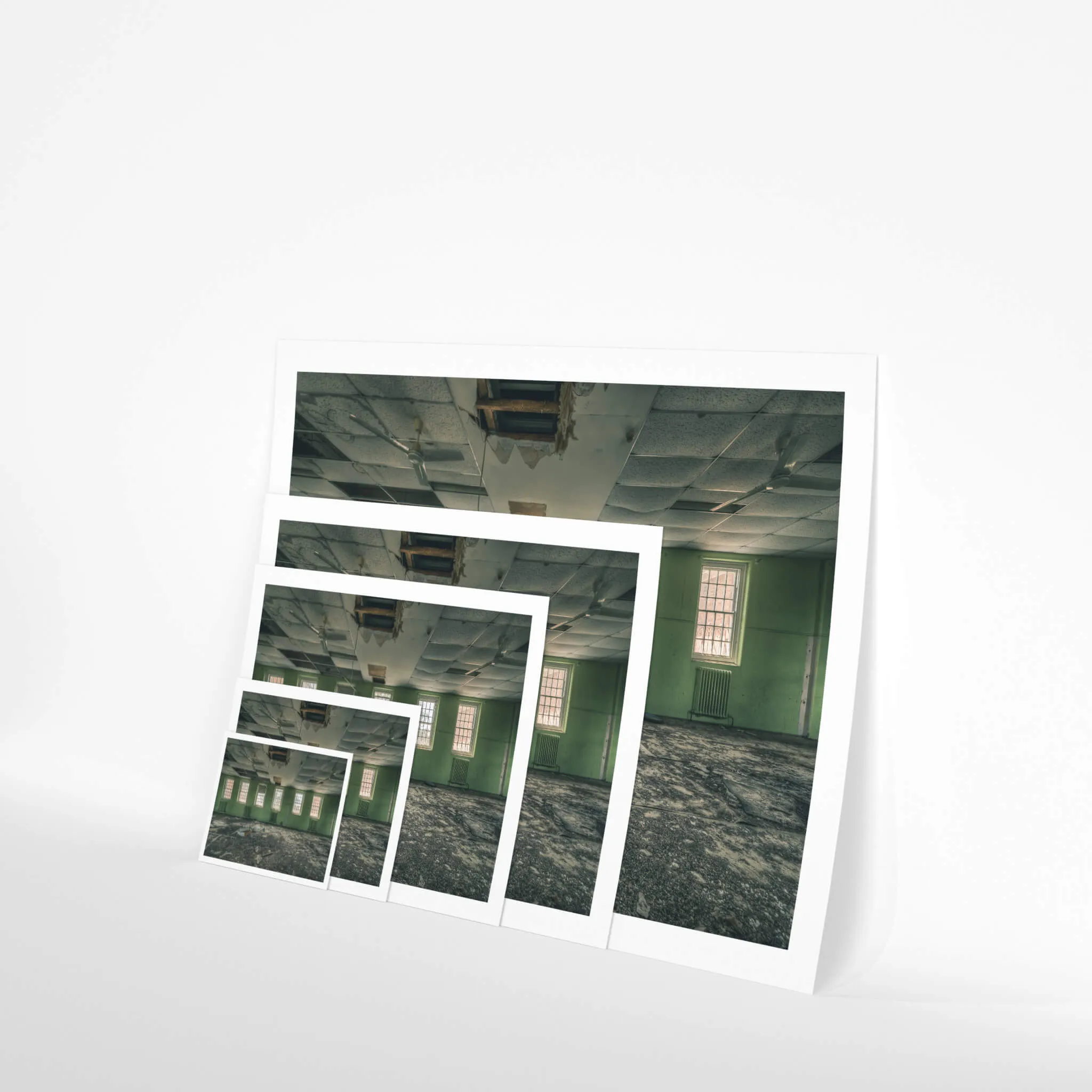 Windows to the World | The Asylum