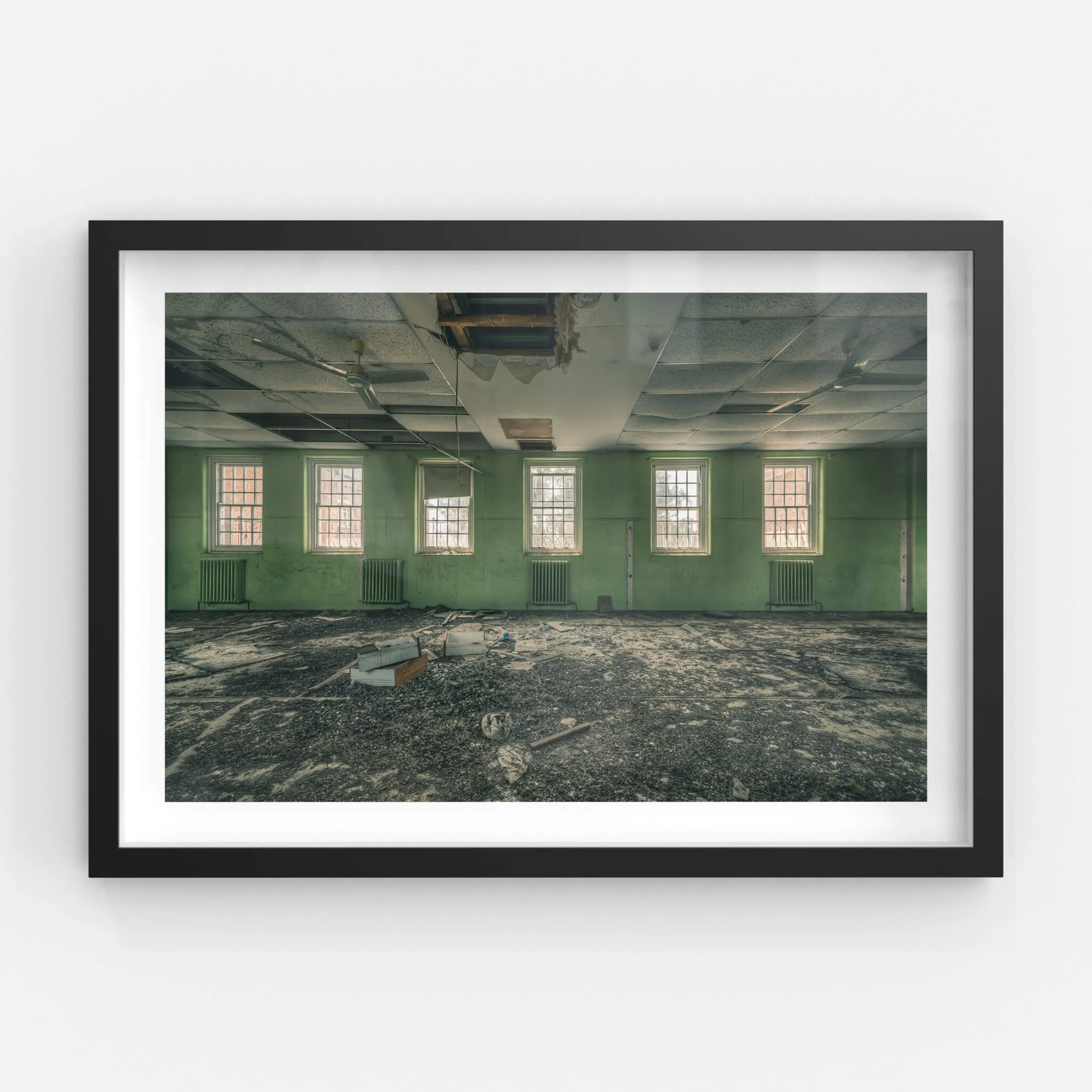 Windows to the World | The Asylum