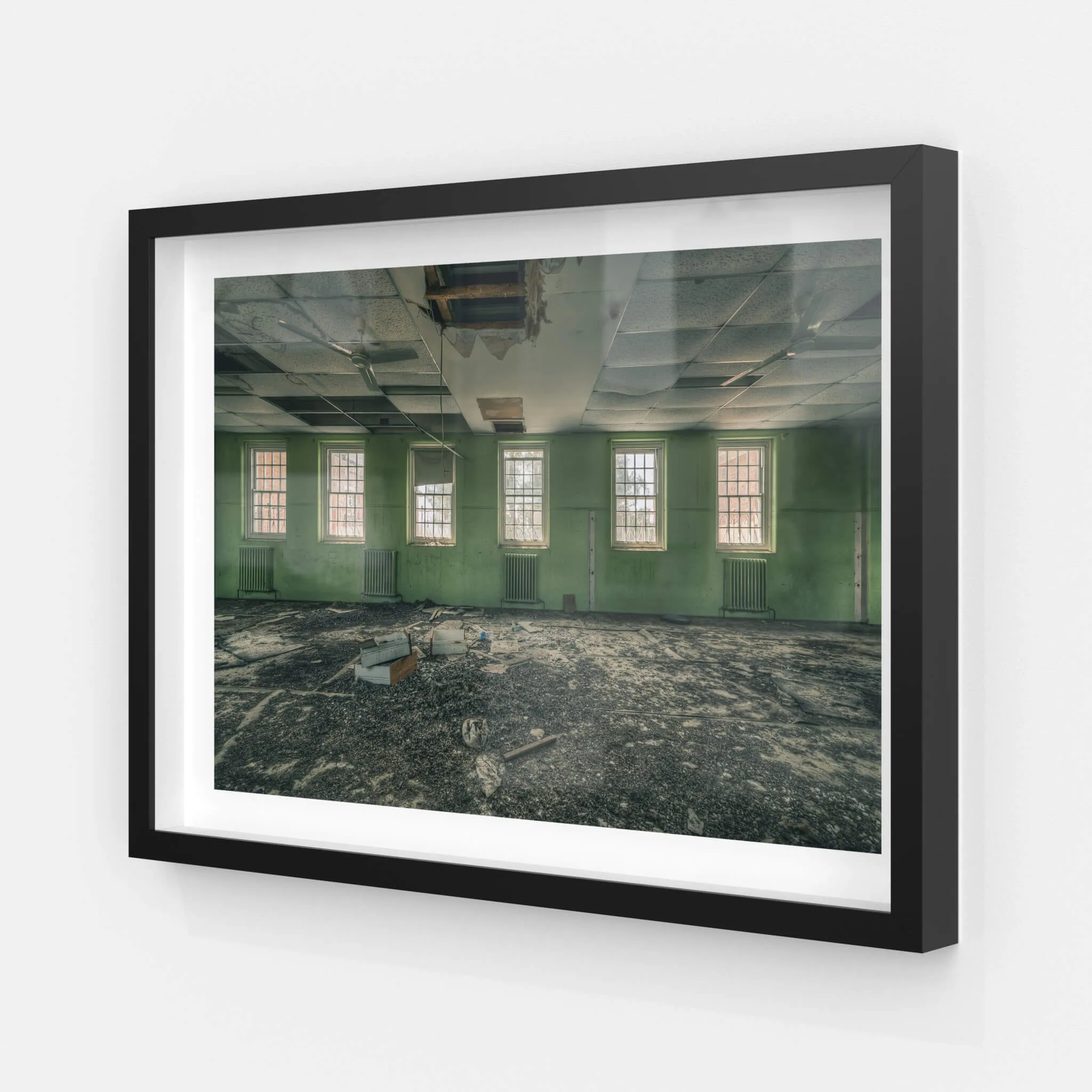 Windows to the World | The Asylum