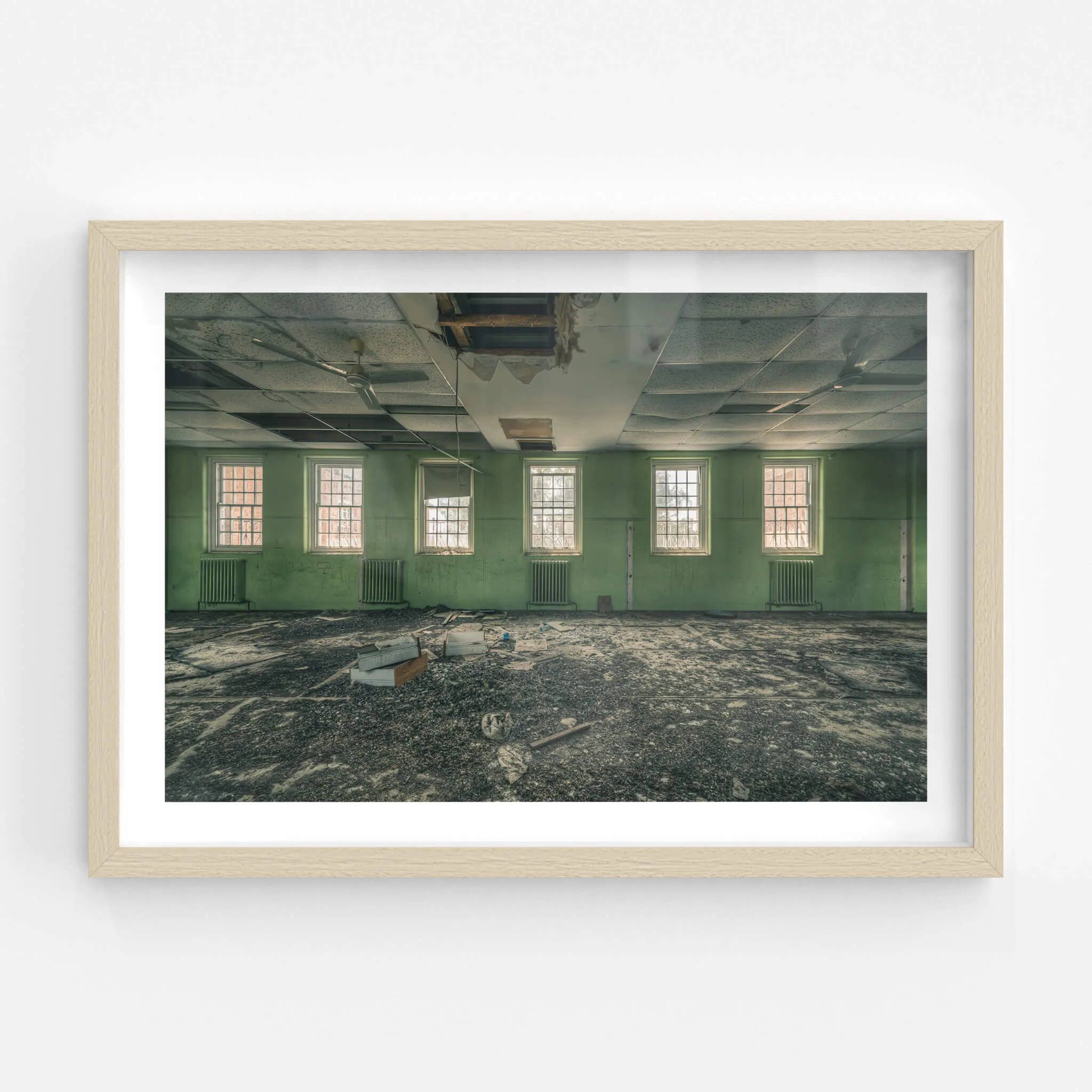Windows to the World | The Asylum