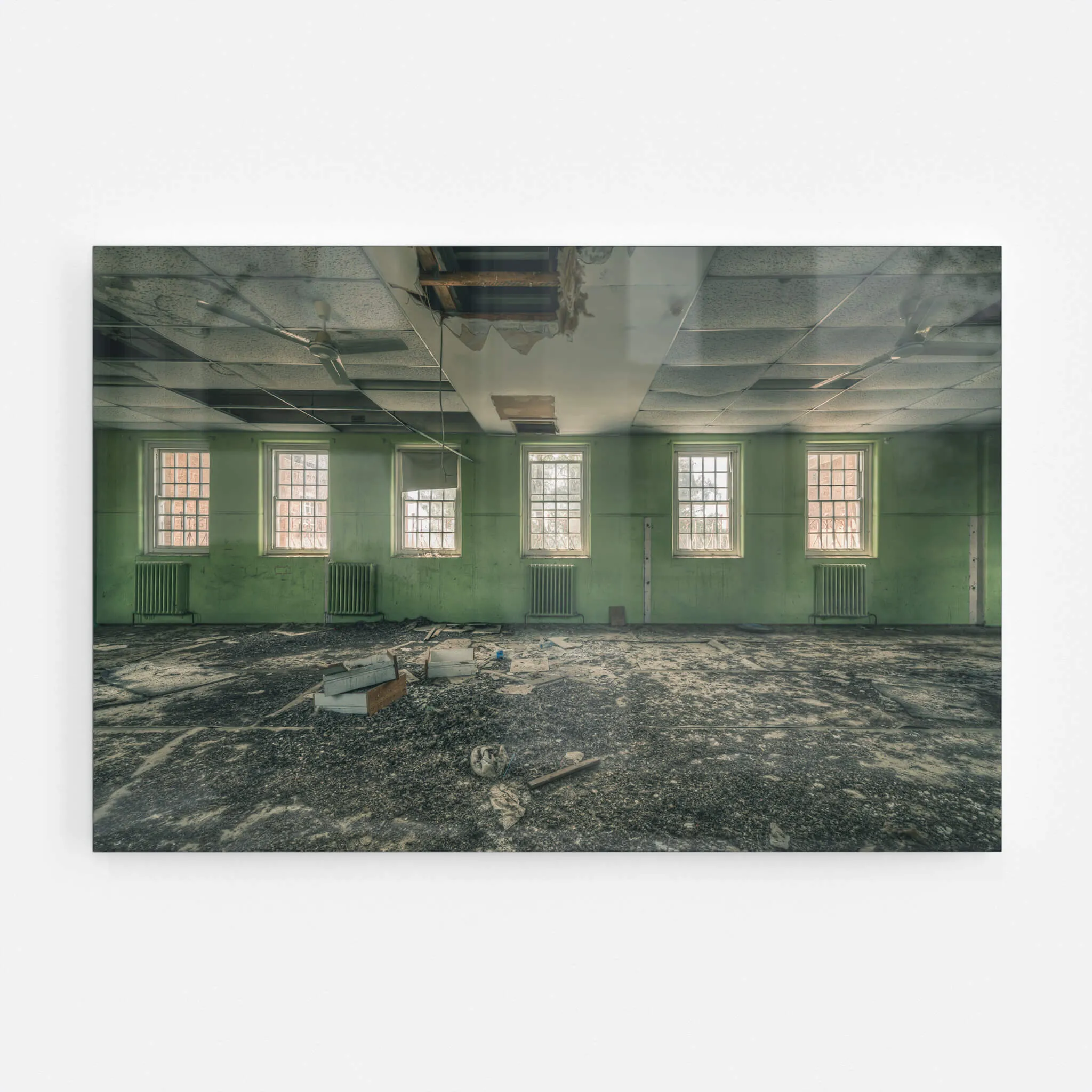 Windows to the World | The Asylum