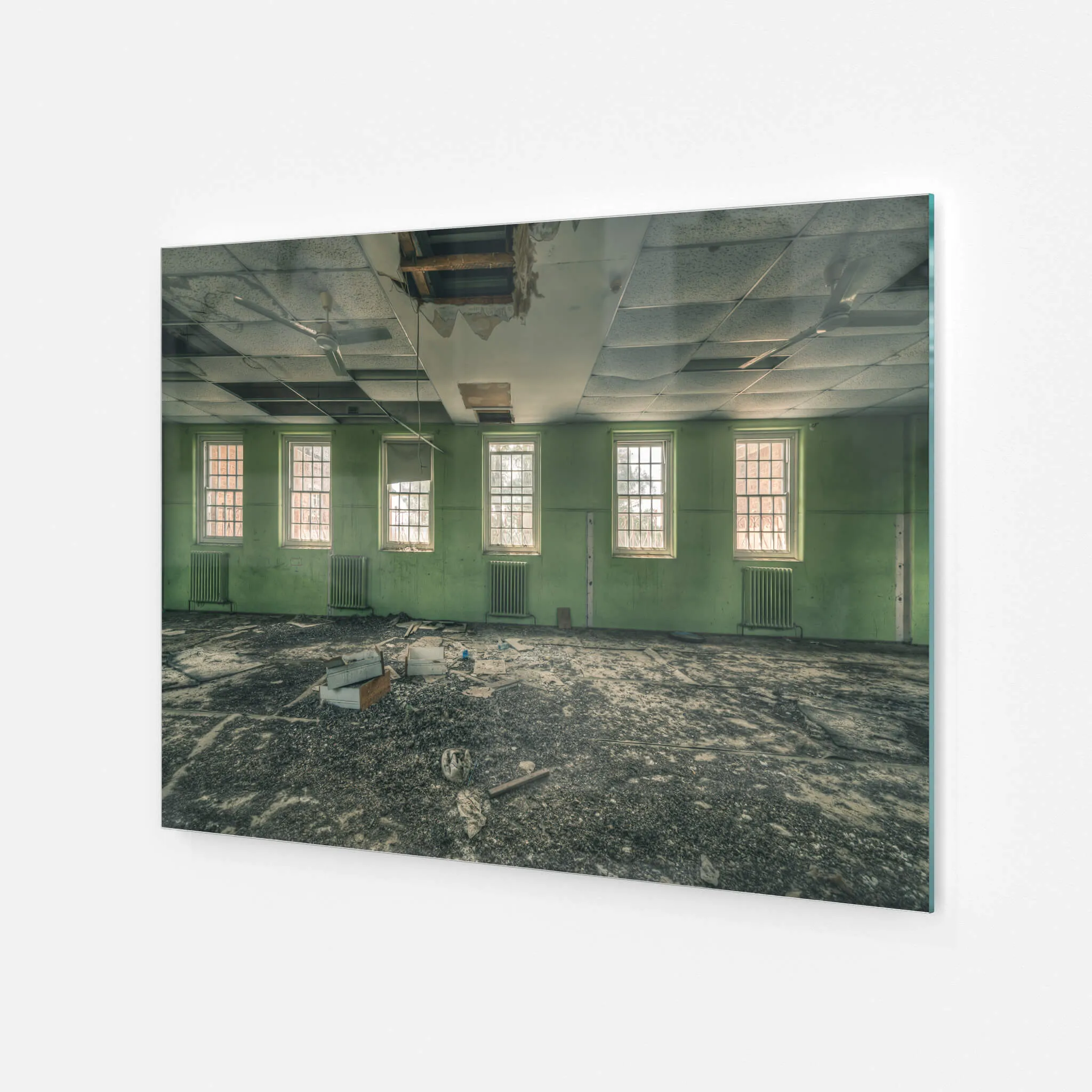 Windows to the World | The Asylum