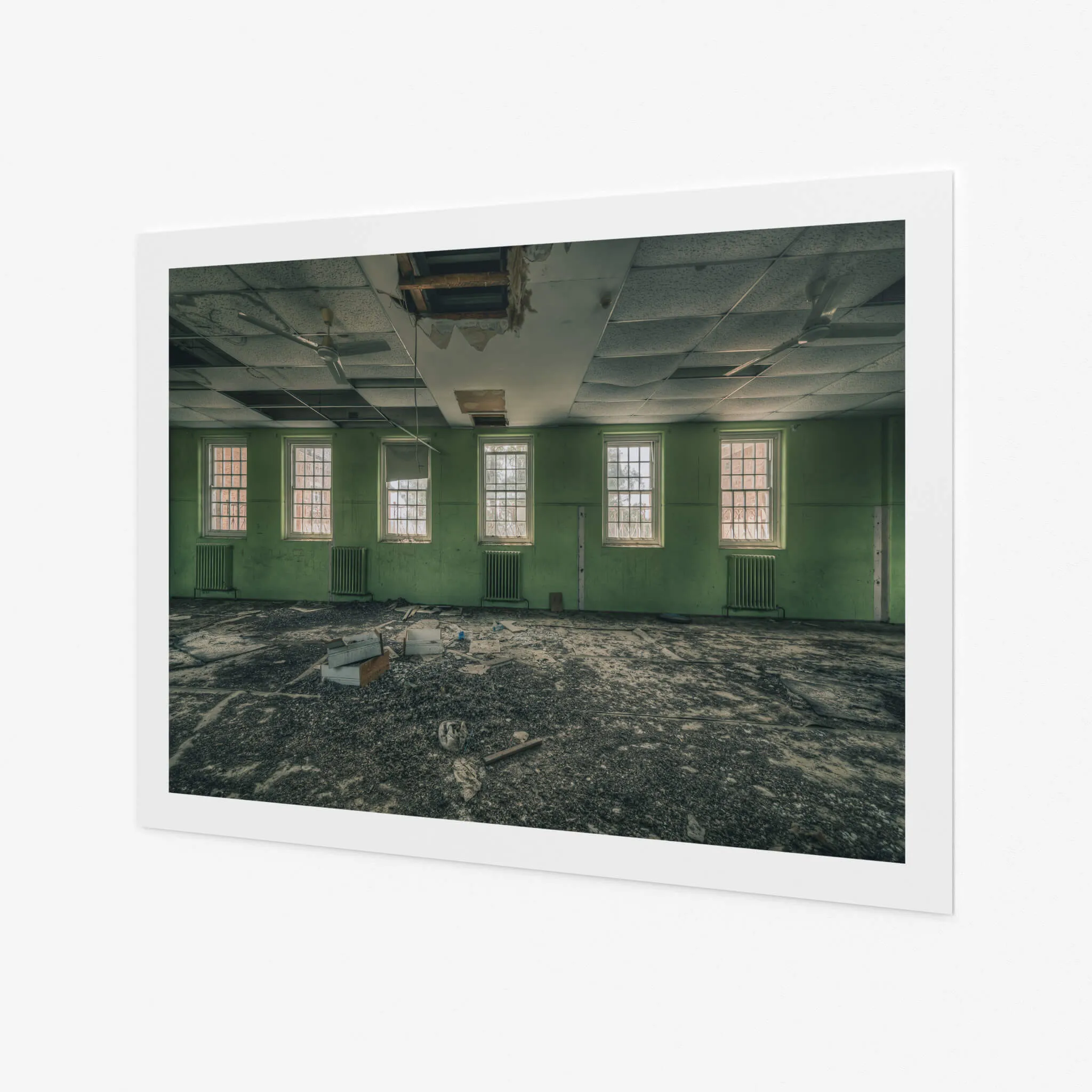 Windows to the World | The Asylum
