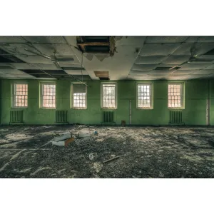 Windows to the World | The Asylum