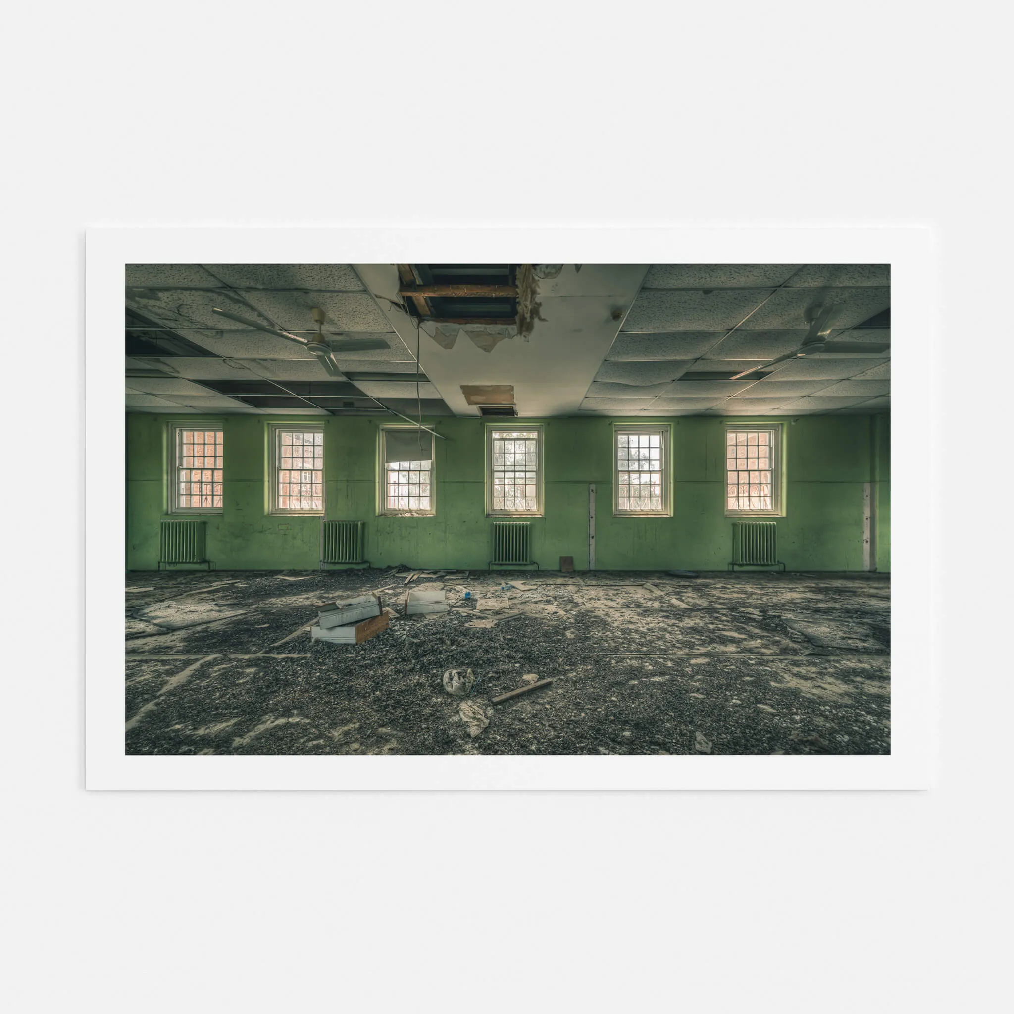 Windows to the World | The Asylum
