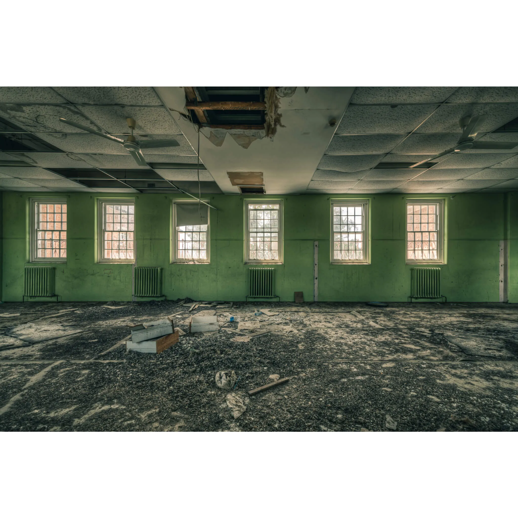 Windows to the World | The Asylum