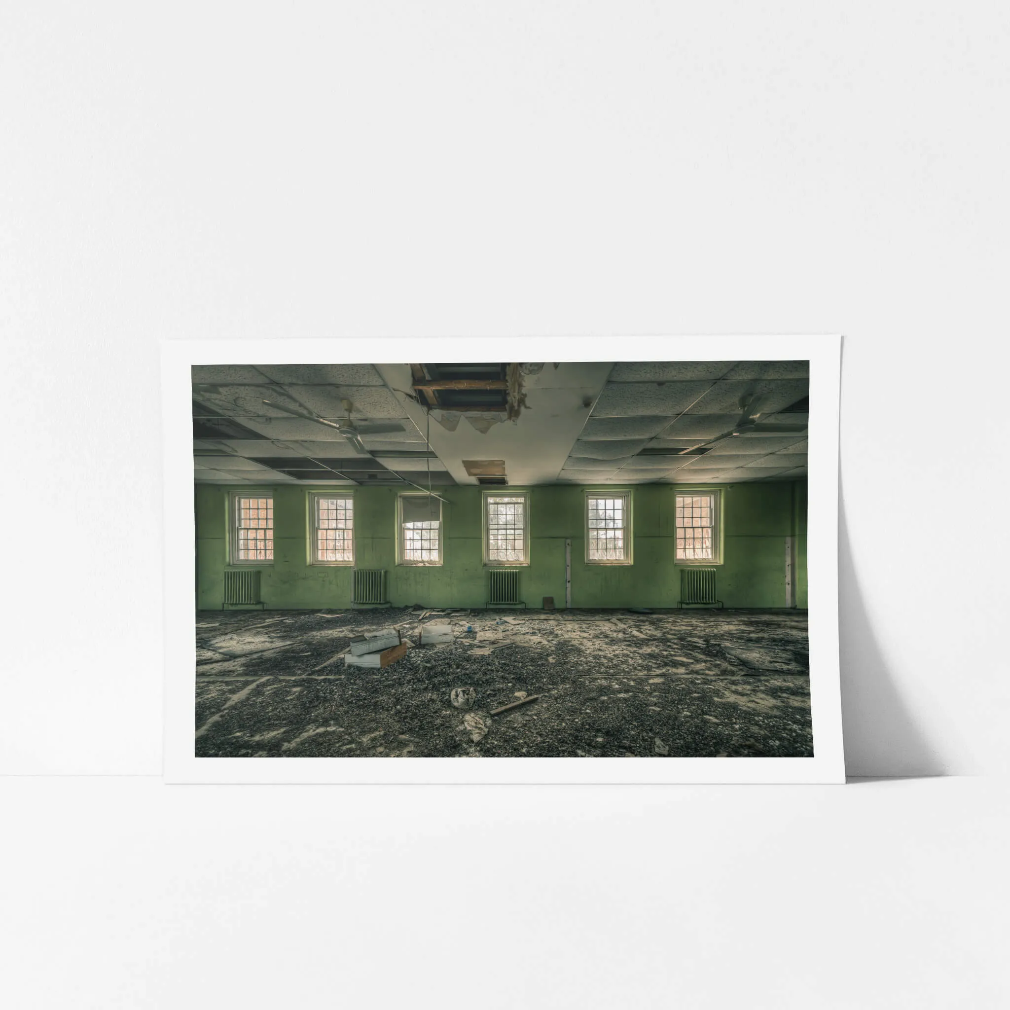 Windows to the World | The Asylum