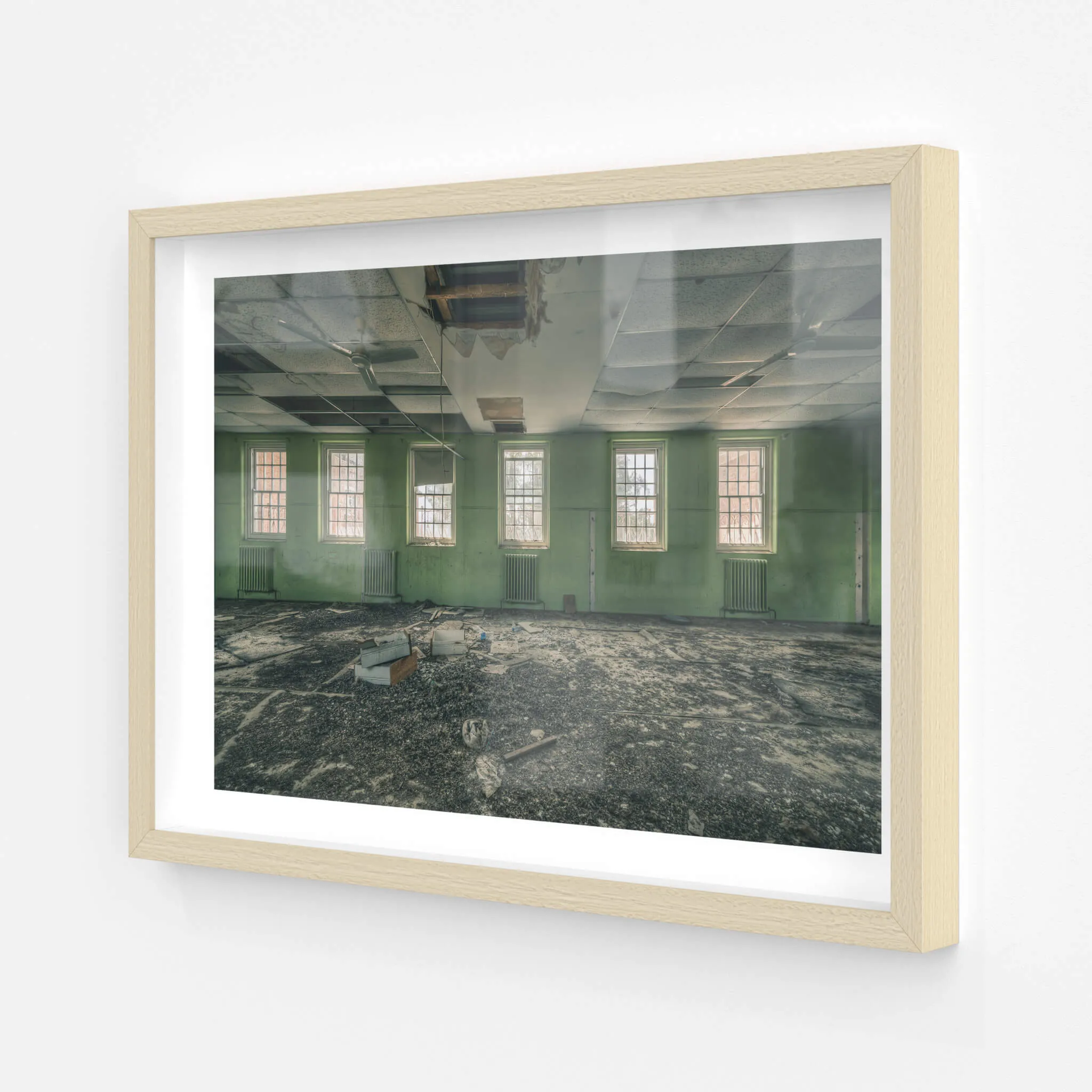 Windows to the World | The Asylum